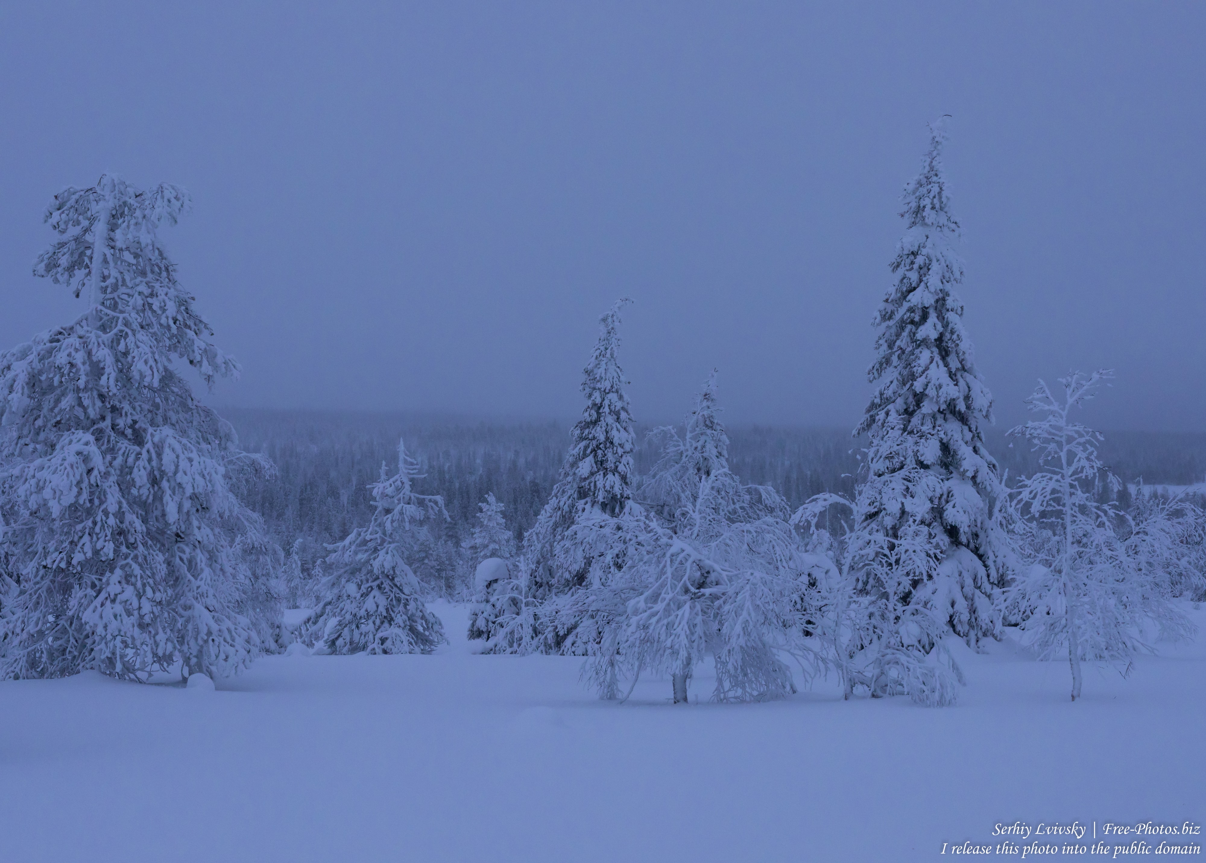 Riisitunturi, Finland, photographed in January 2020 by Serhiy Lvivsky, picture 22