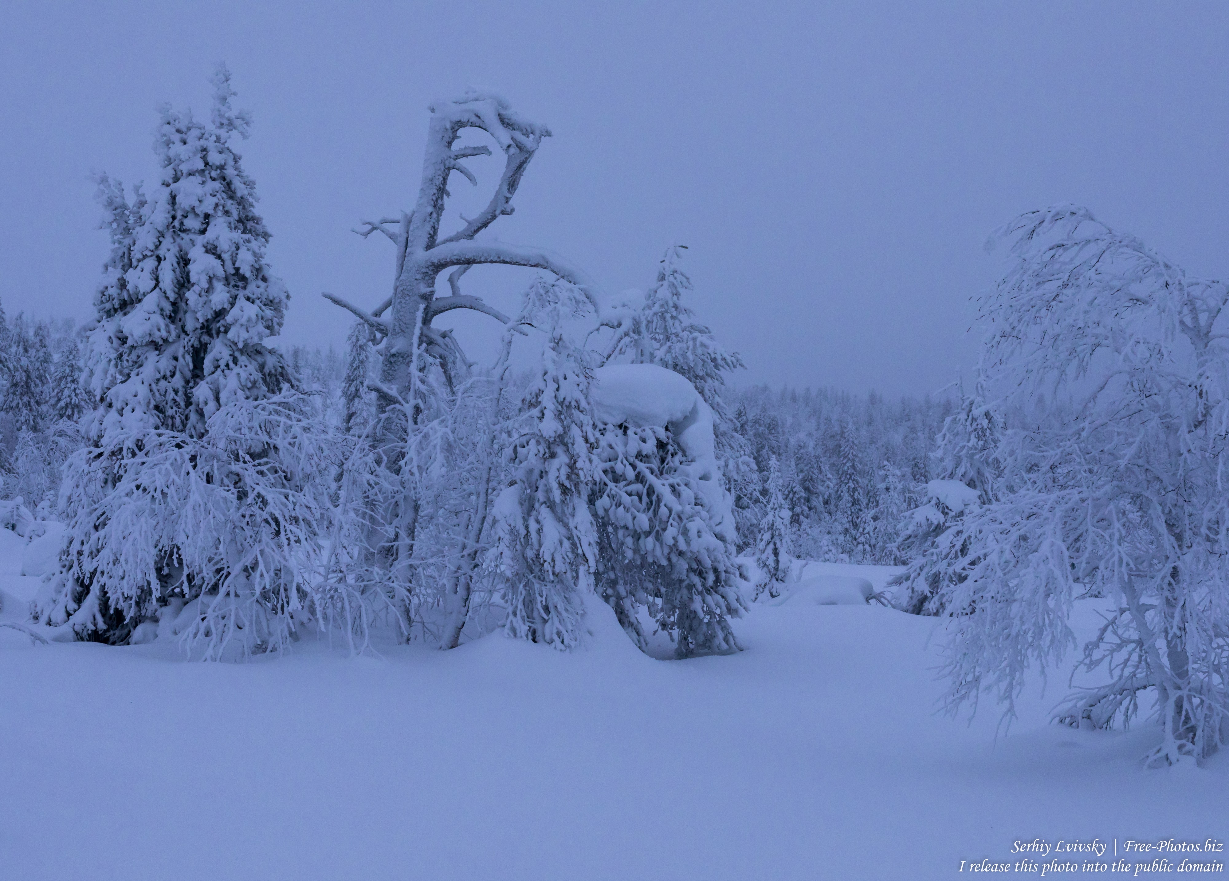 Riisitunturi, Finland, photographed in January 2020 by Serhiy Lvivsky, picture 23