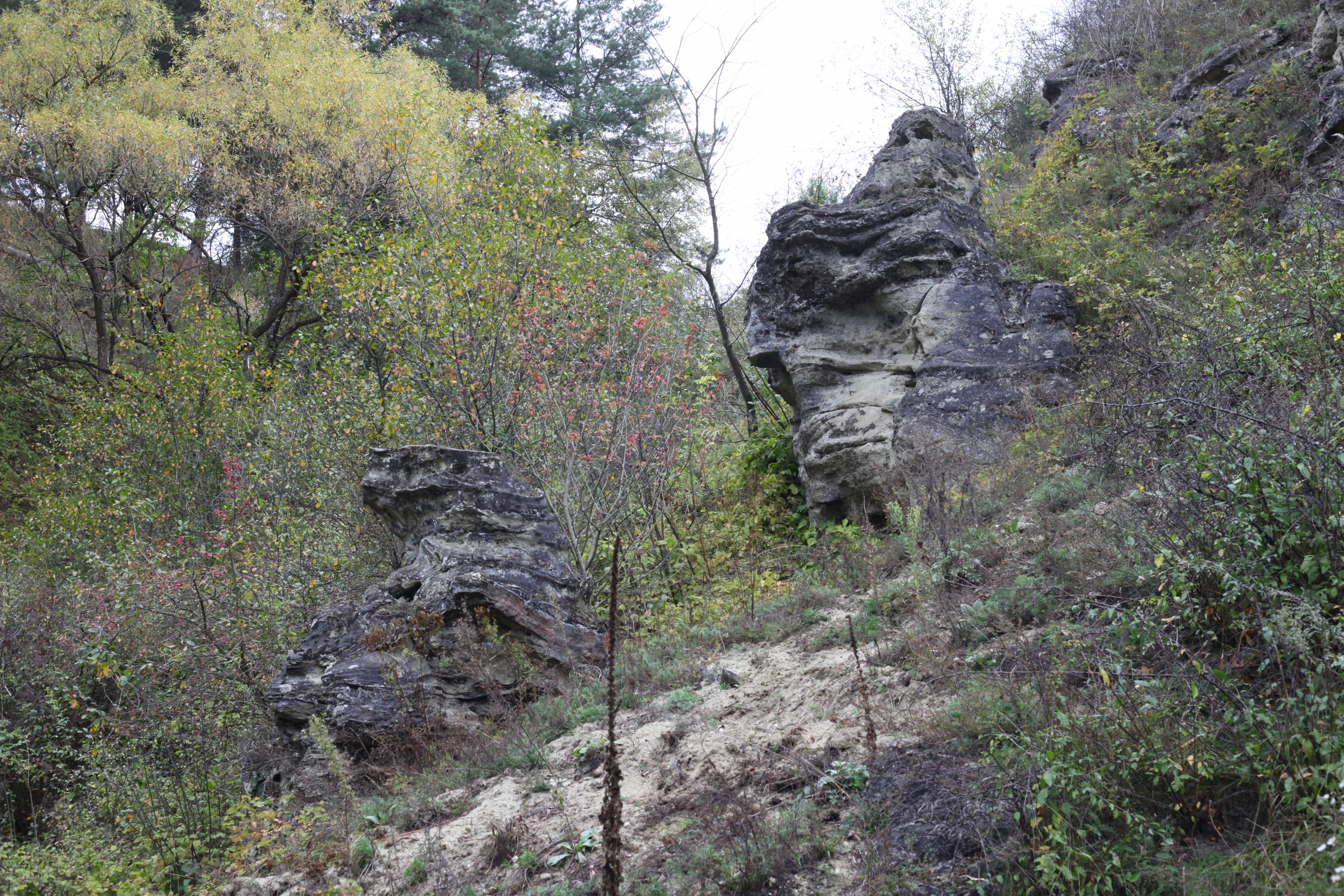 a rocky landscape in Lviv region of Ukraine
