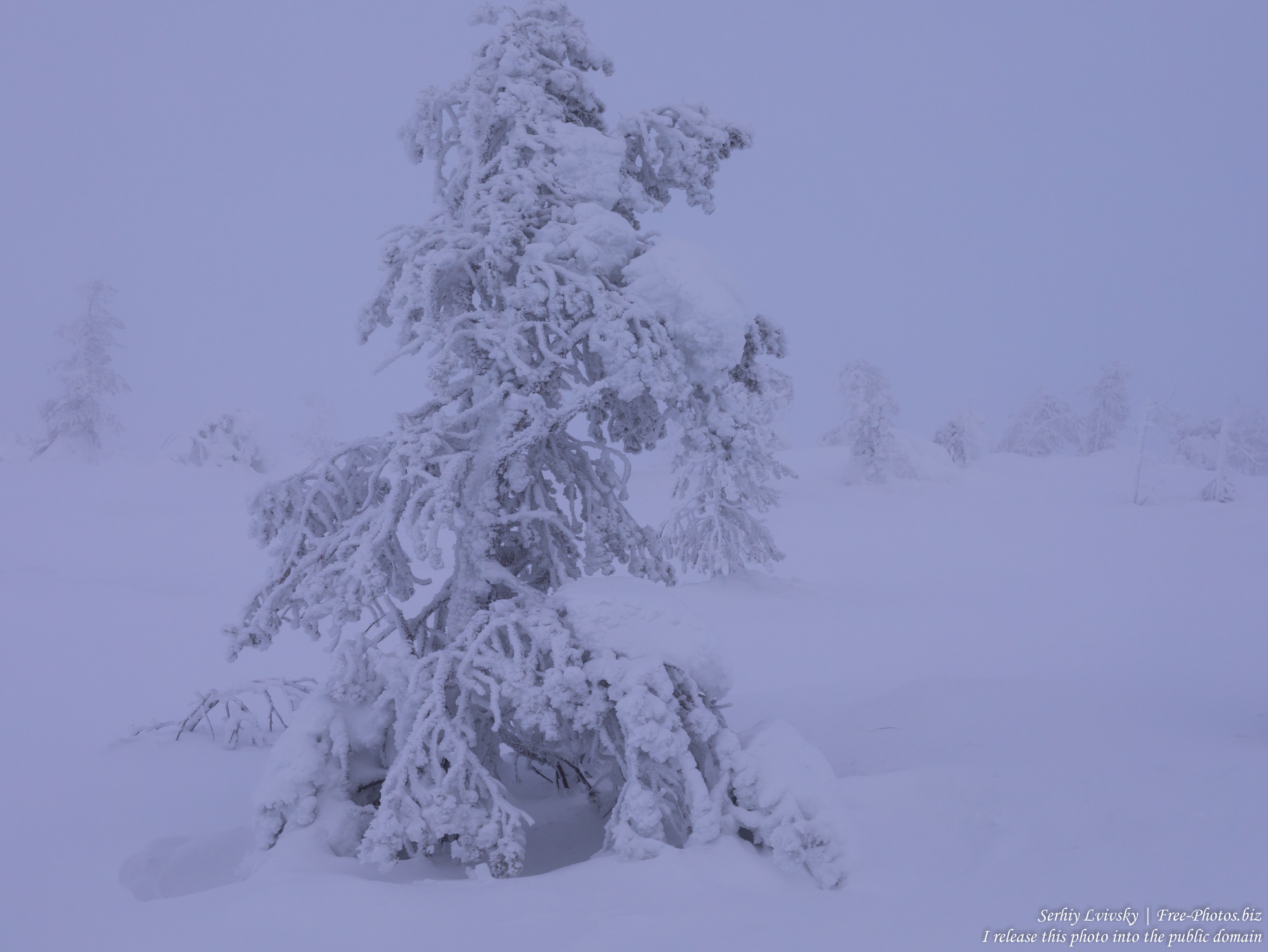 Sallatunturi, Finland, photographed in January 2020 by Serhiy Lvivsky, picture 7