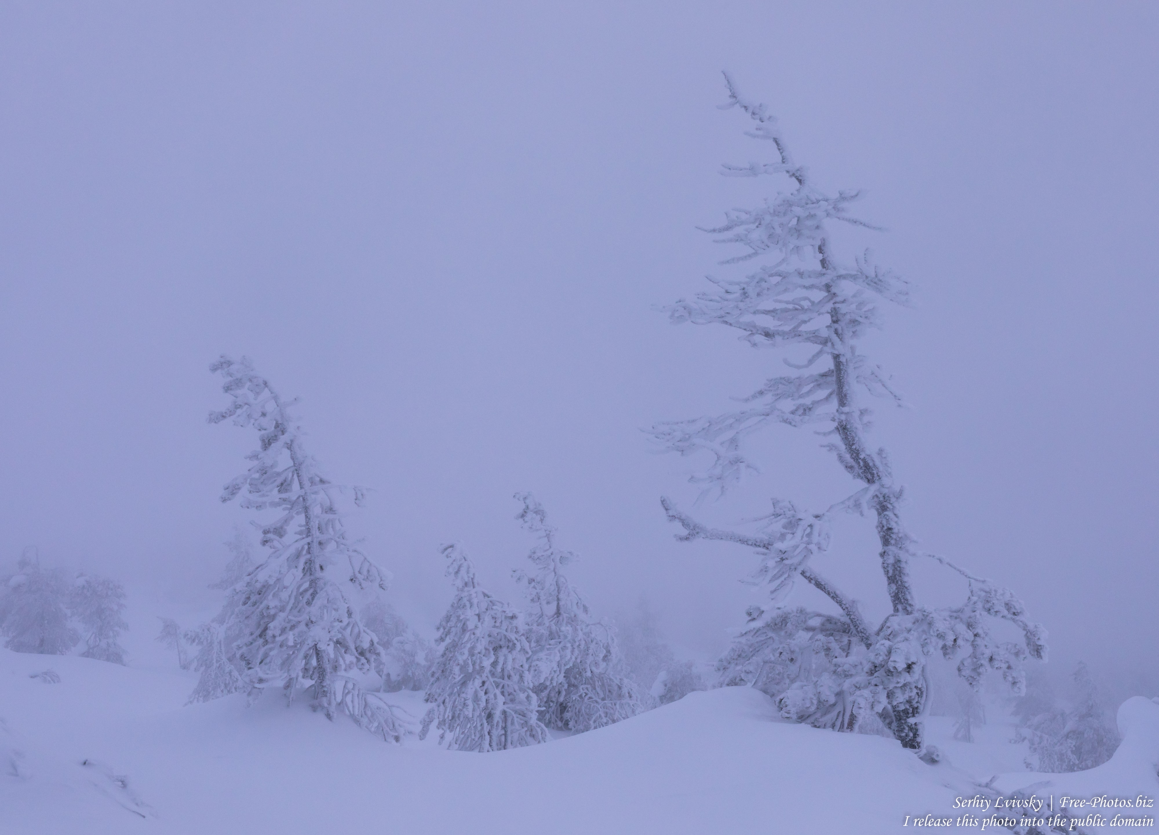 Sallatunturi, Finland, photographed in January 2020 by Serhiy Lvivsky, picture 8