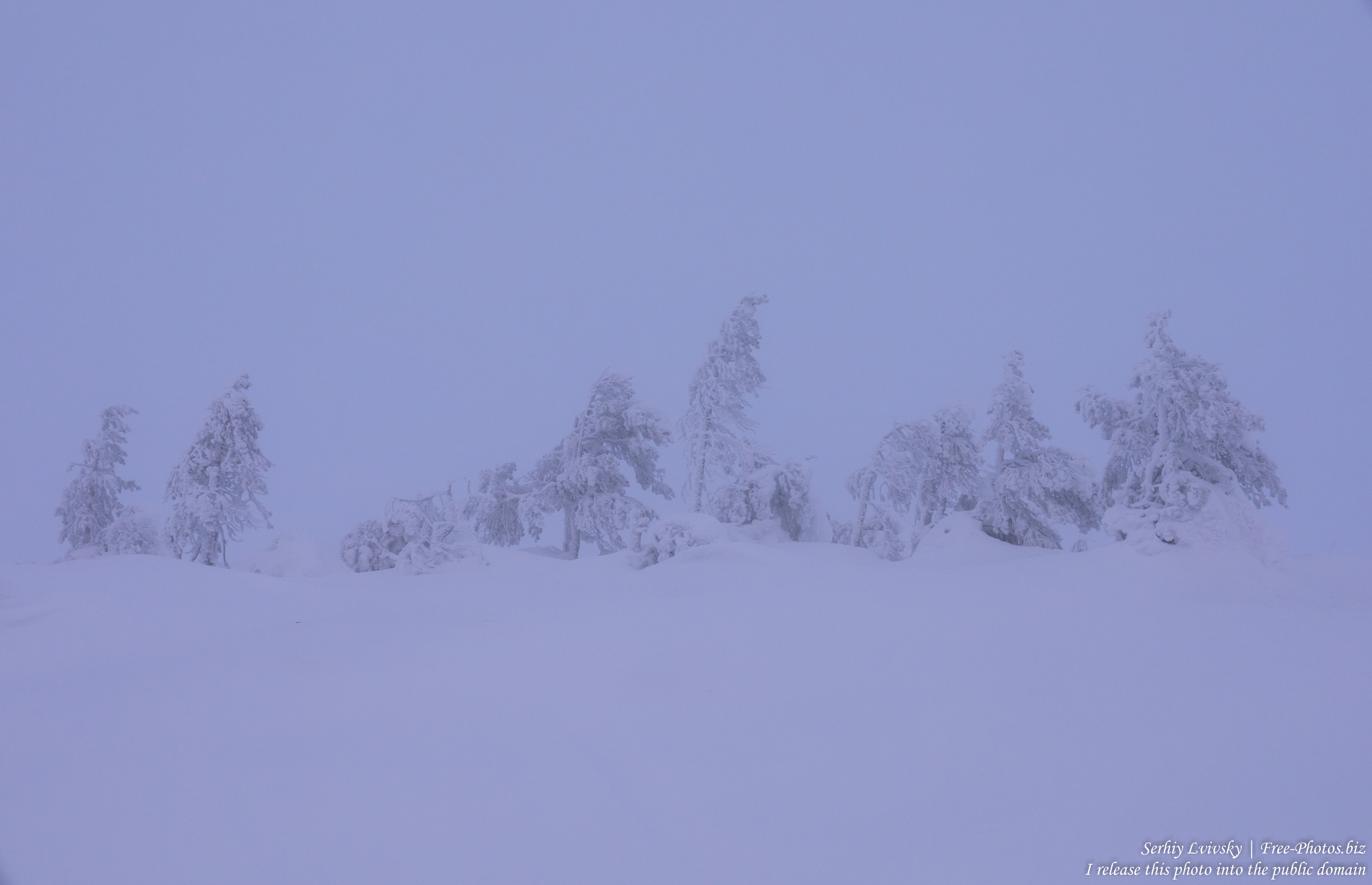 Sallatunturi, Finland, photographed in January 2020 by Serhiy Lvivsky, picture 11