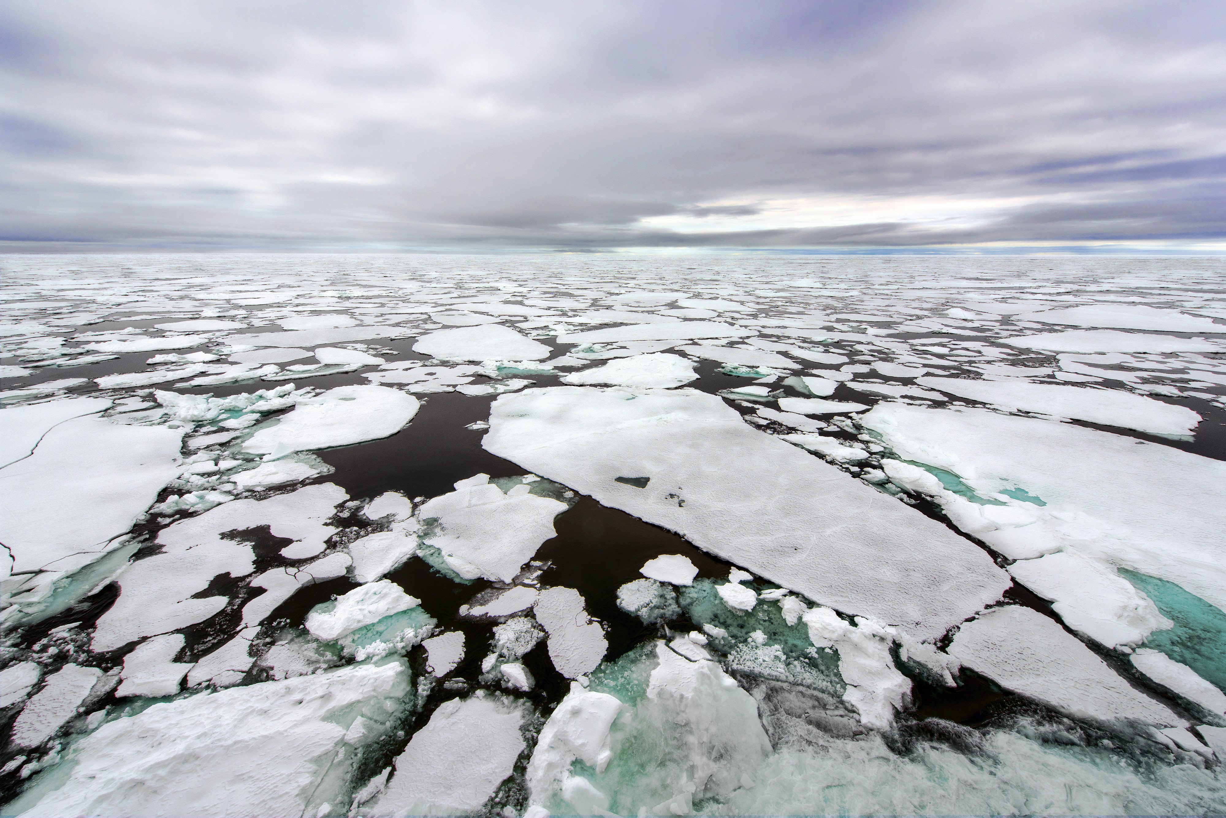 Sea Ice (19594354566)