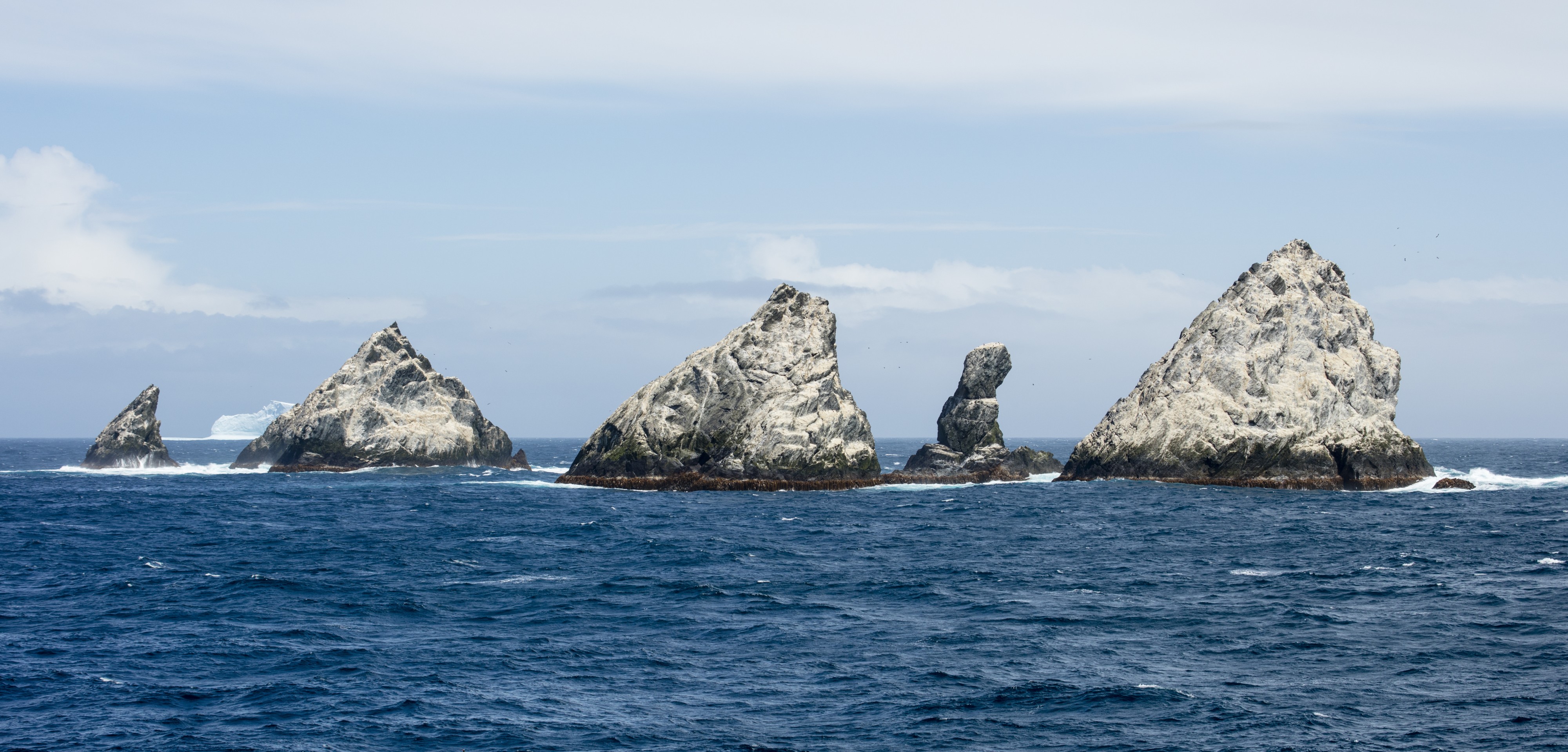 SGI-2016-South Georgia–Shag Rocks 01