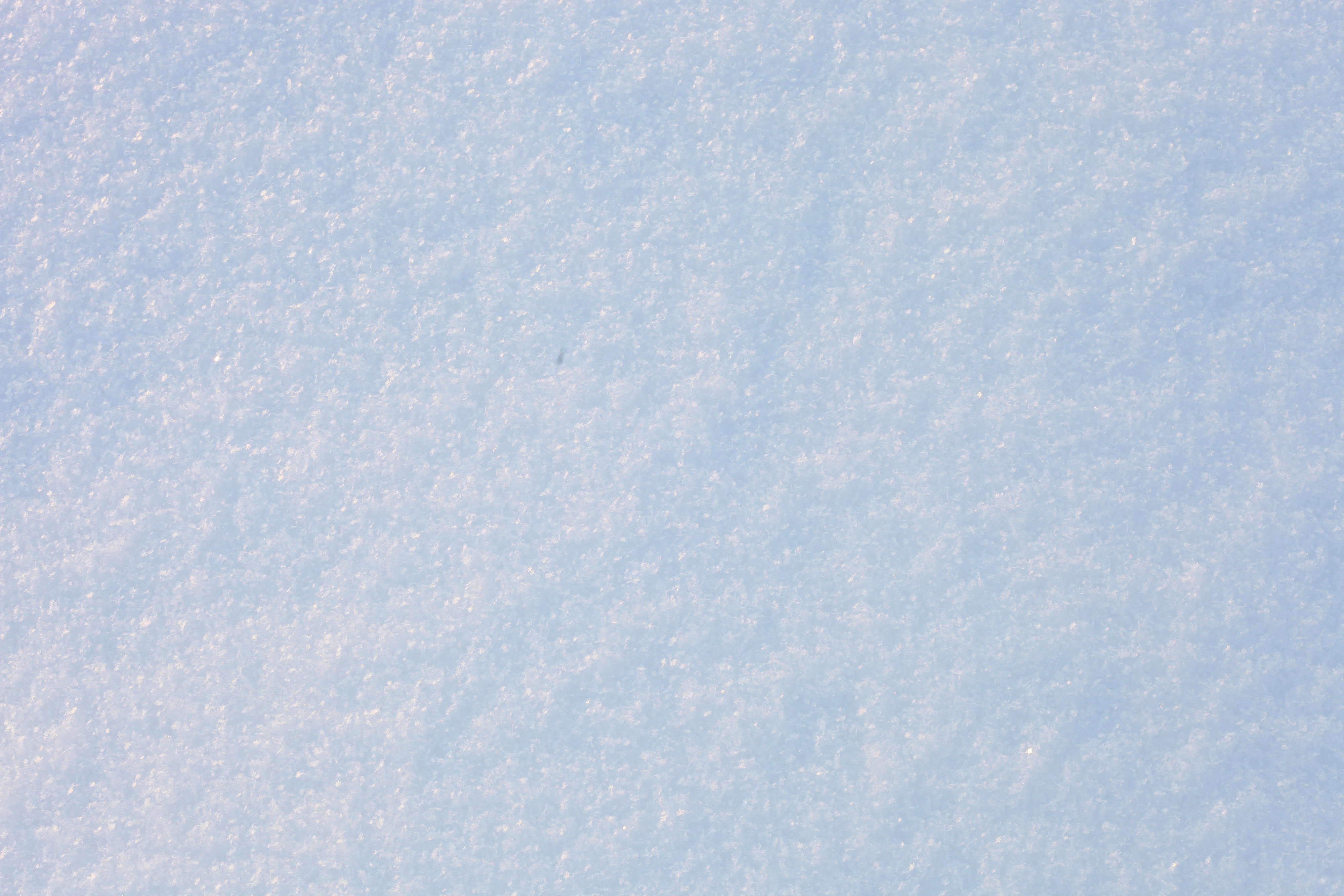 God's creation: plain snow, December 2012, photo 14