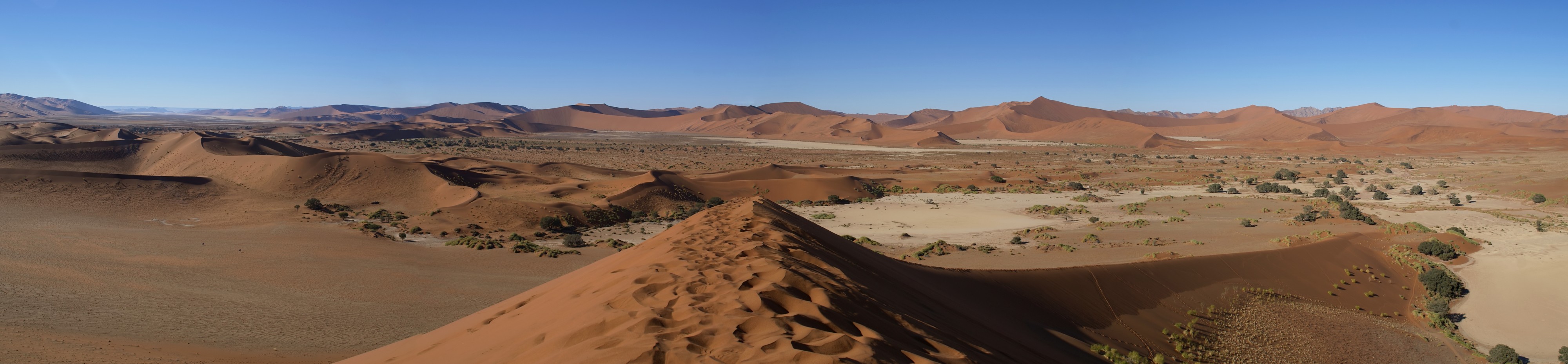 Sossusvlei south view
