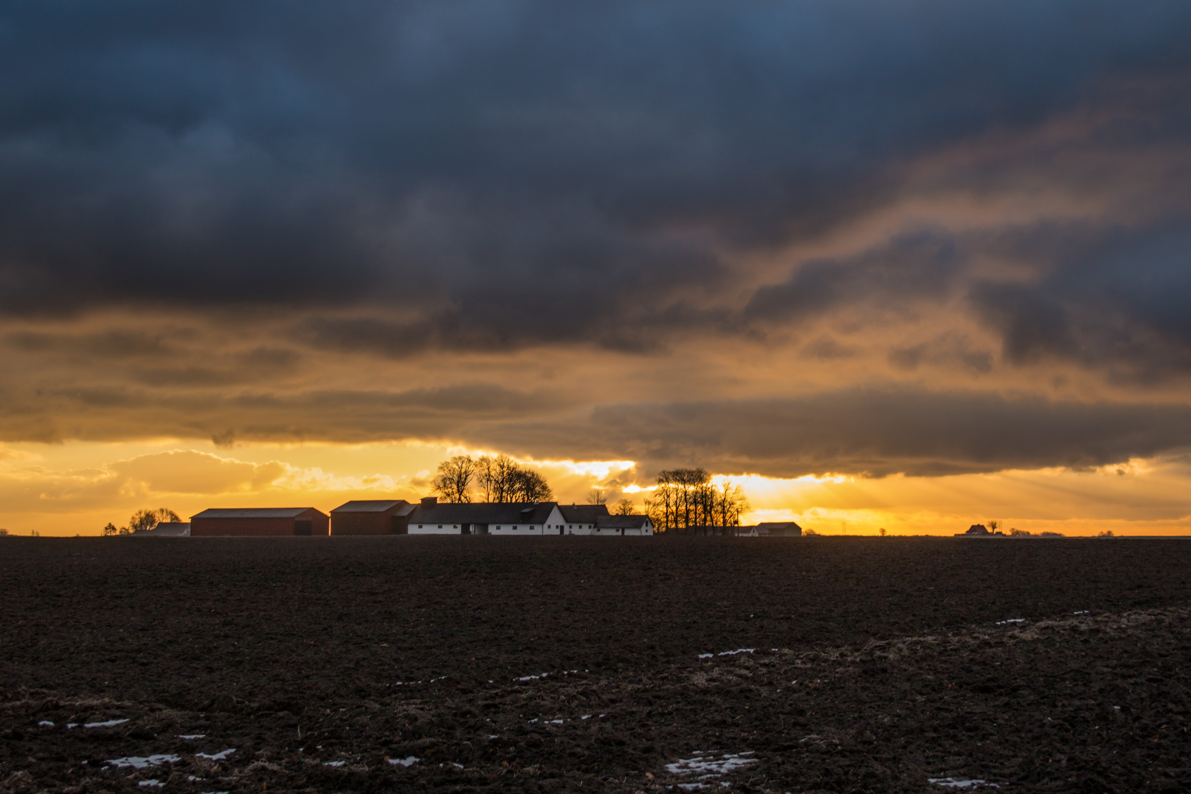 Sunrise (32701238094)