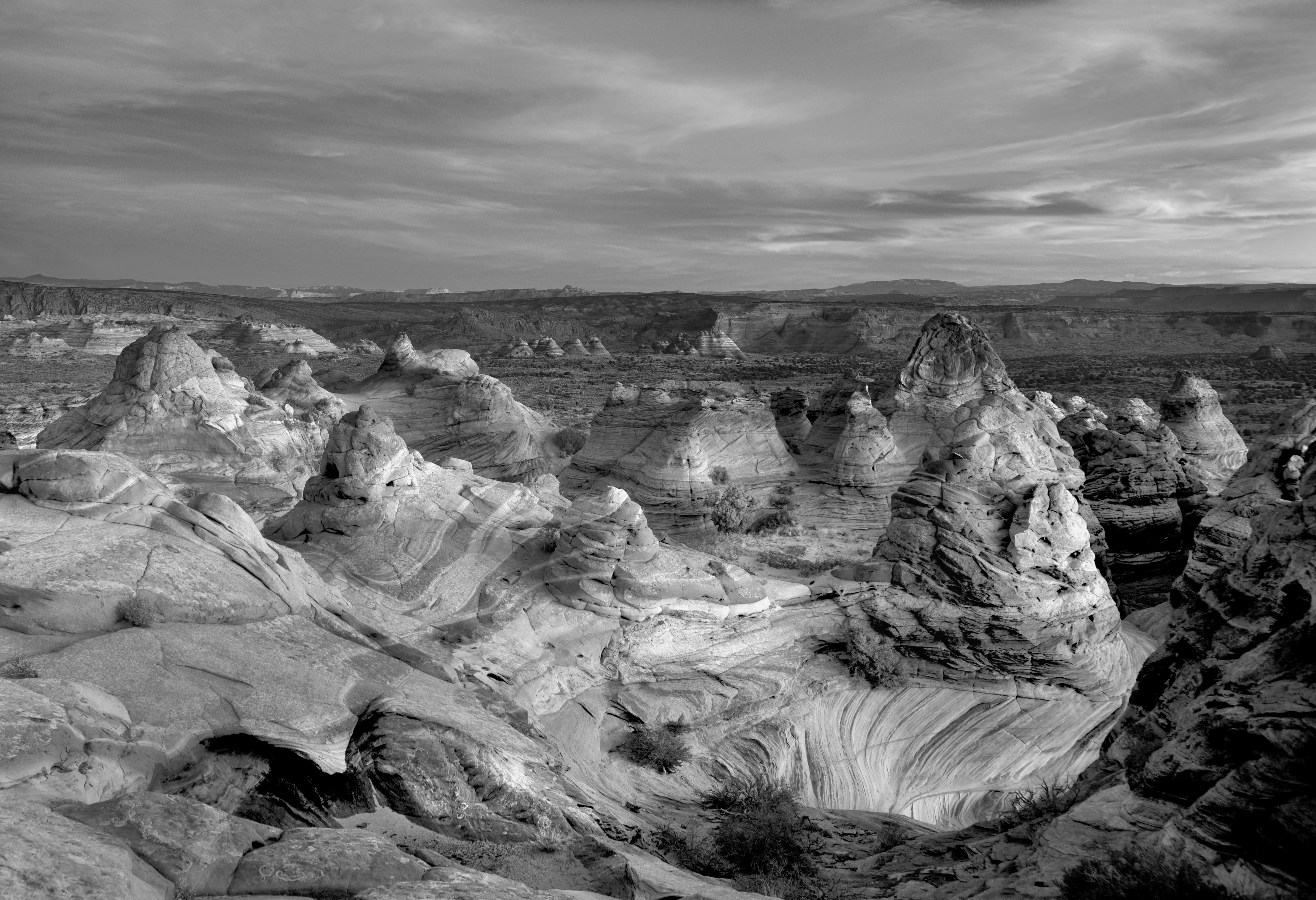 Sunrise at Cottonwood Cove, B&W (8182410925)