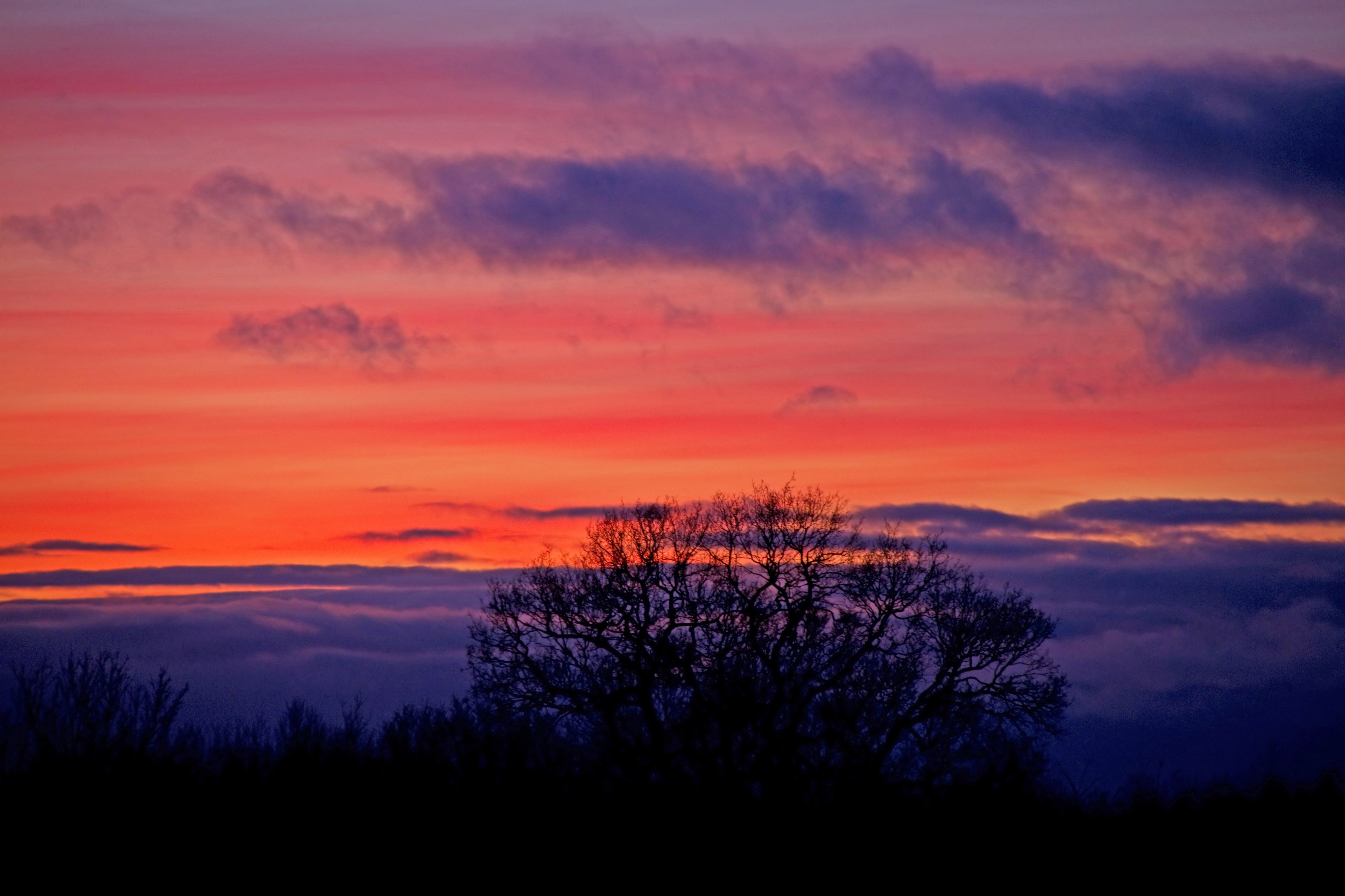 Sunset (6674416303)