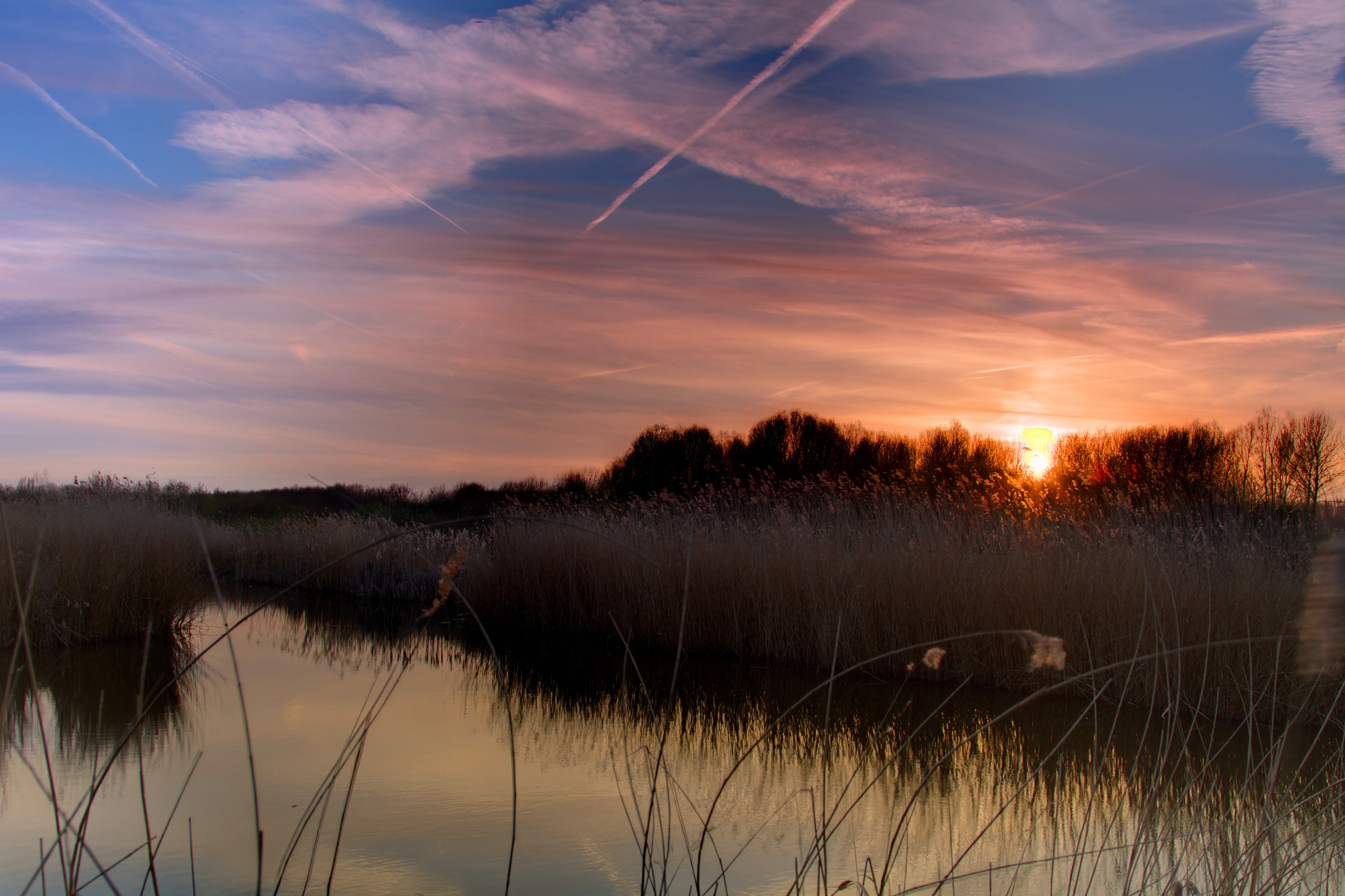Sunset Bieslandse Bos (4506512968) (2)