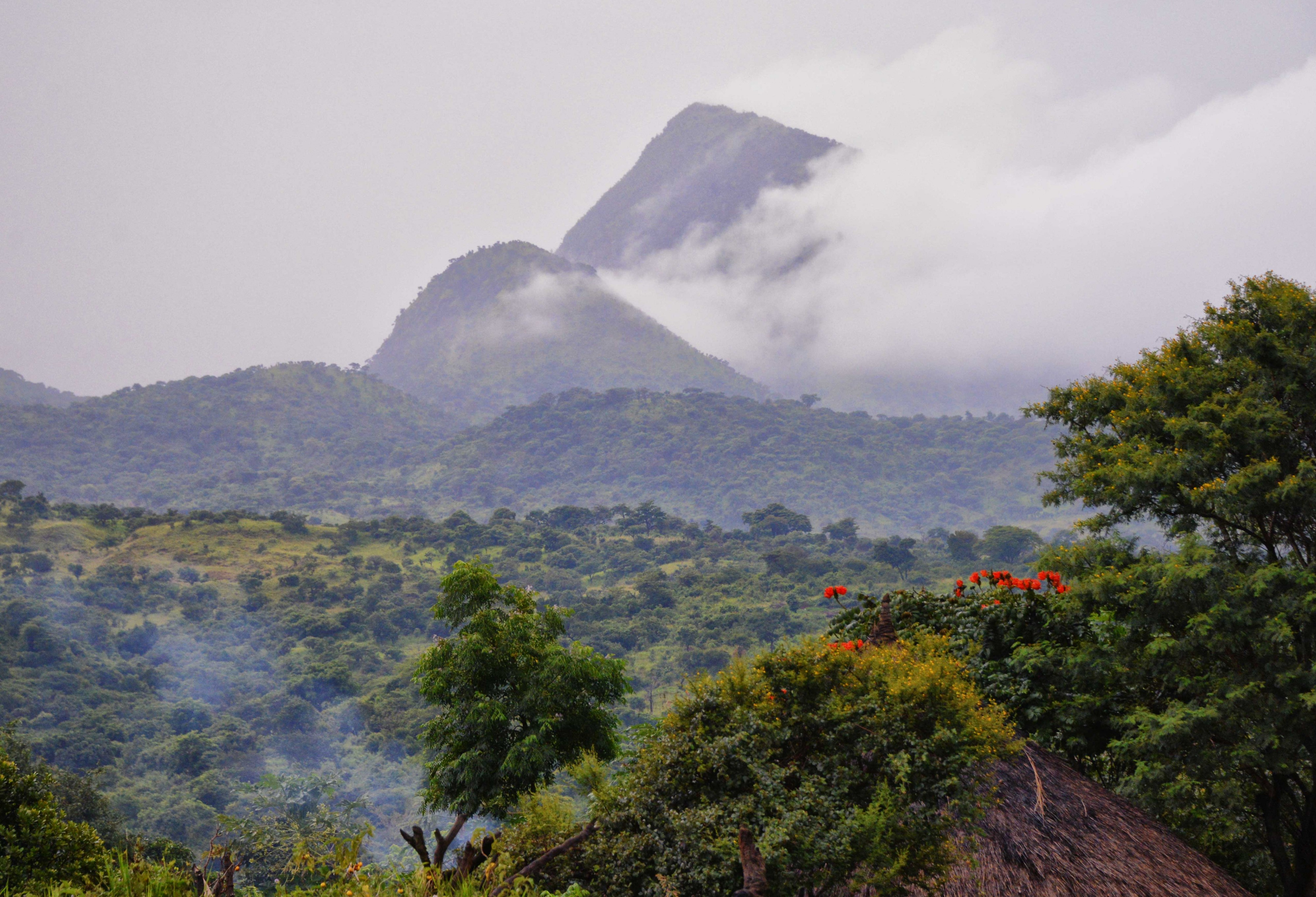 Suri Homeland, Ethiopia (10572393694)