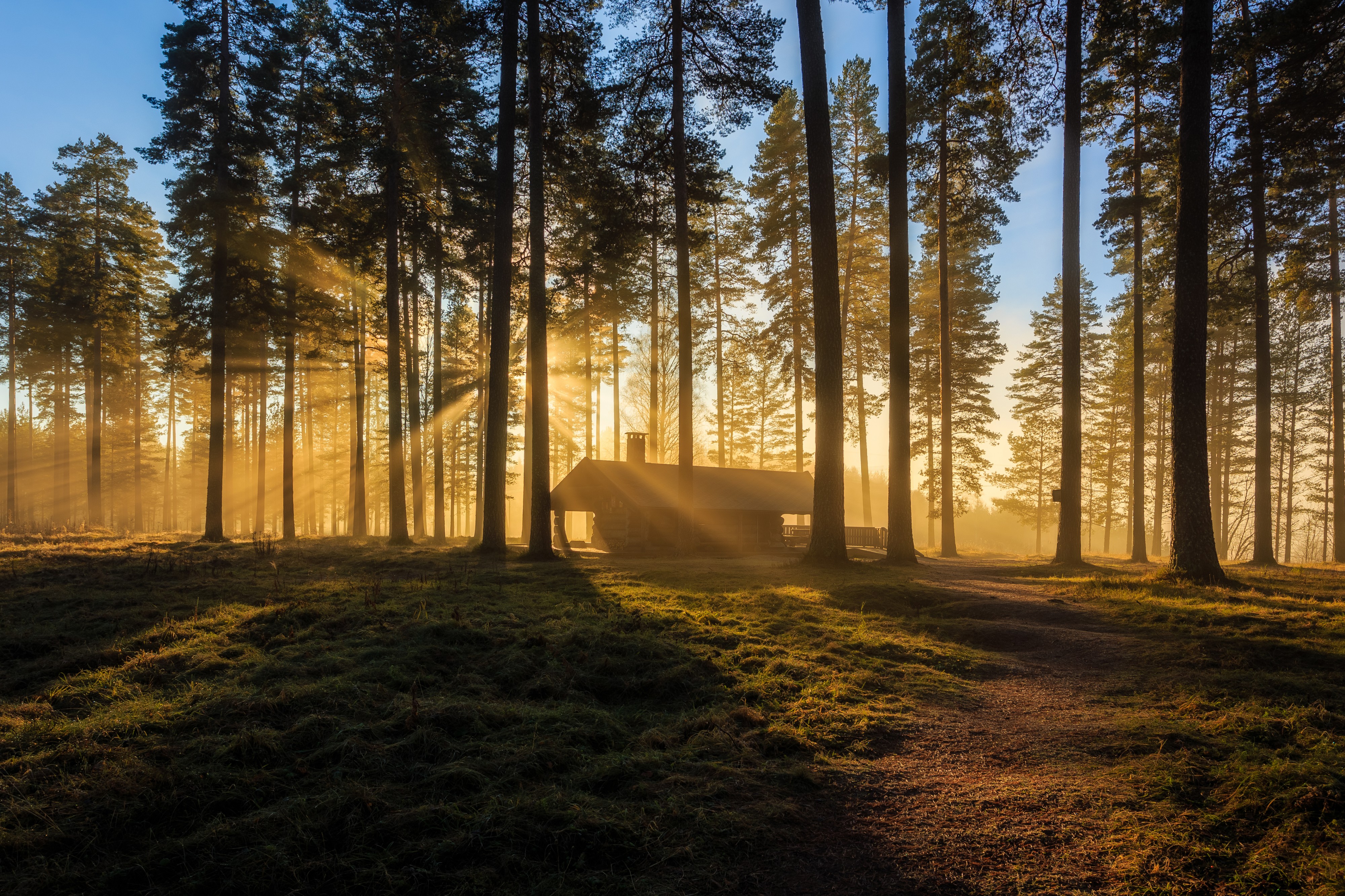 Tallmon Nature Reserve, Eda municipality, Värmland County, Sweden