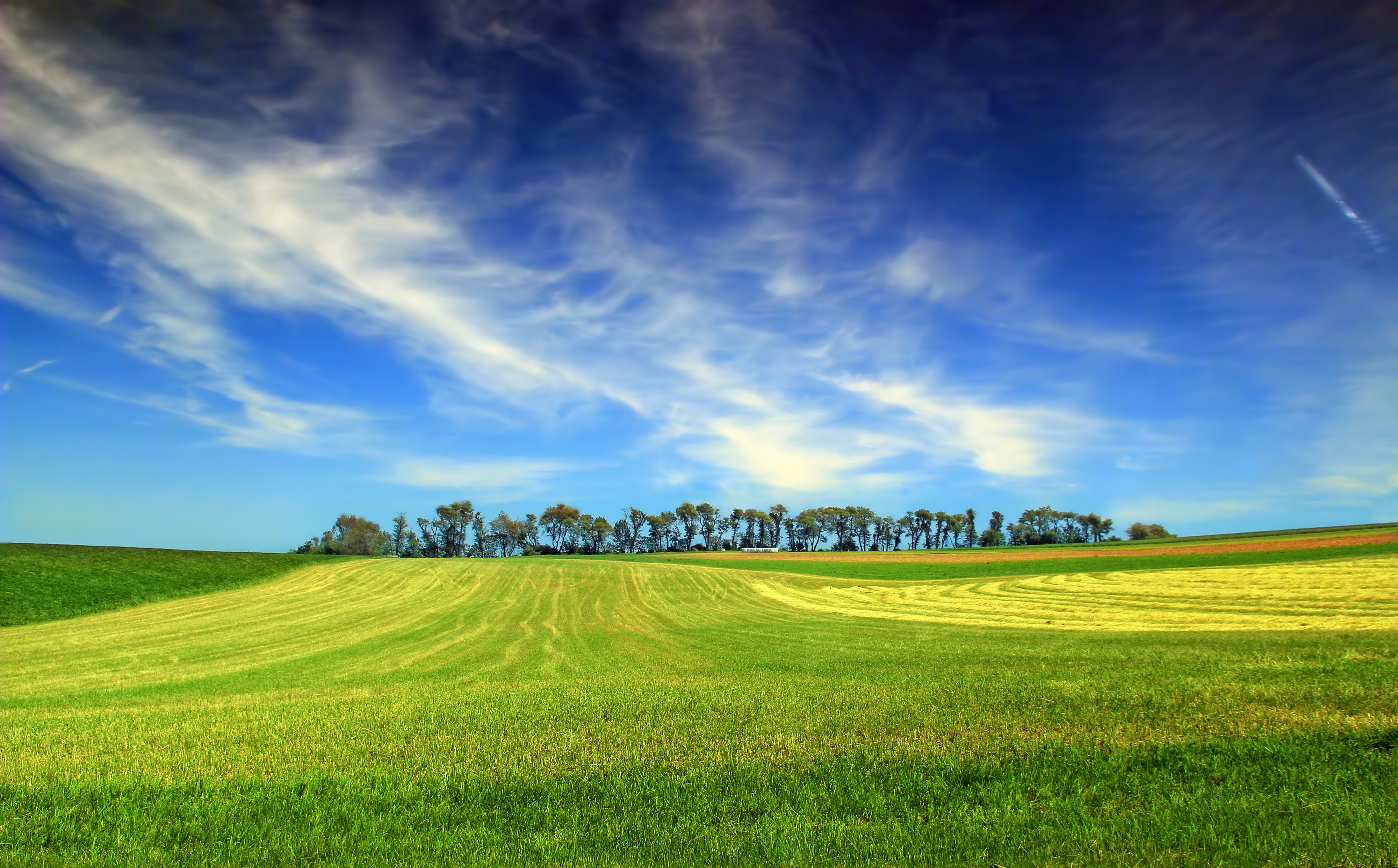 Tilled (8861150770)