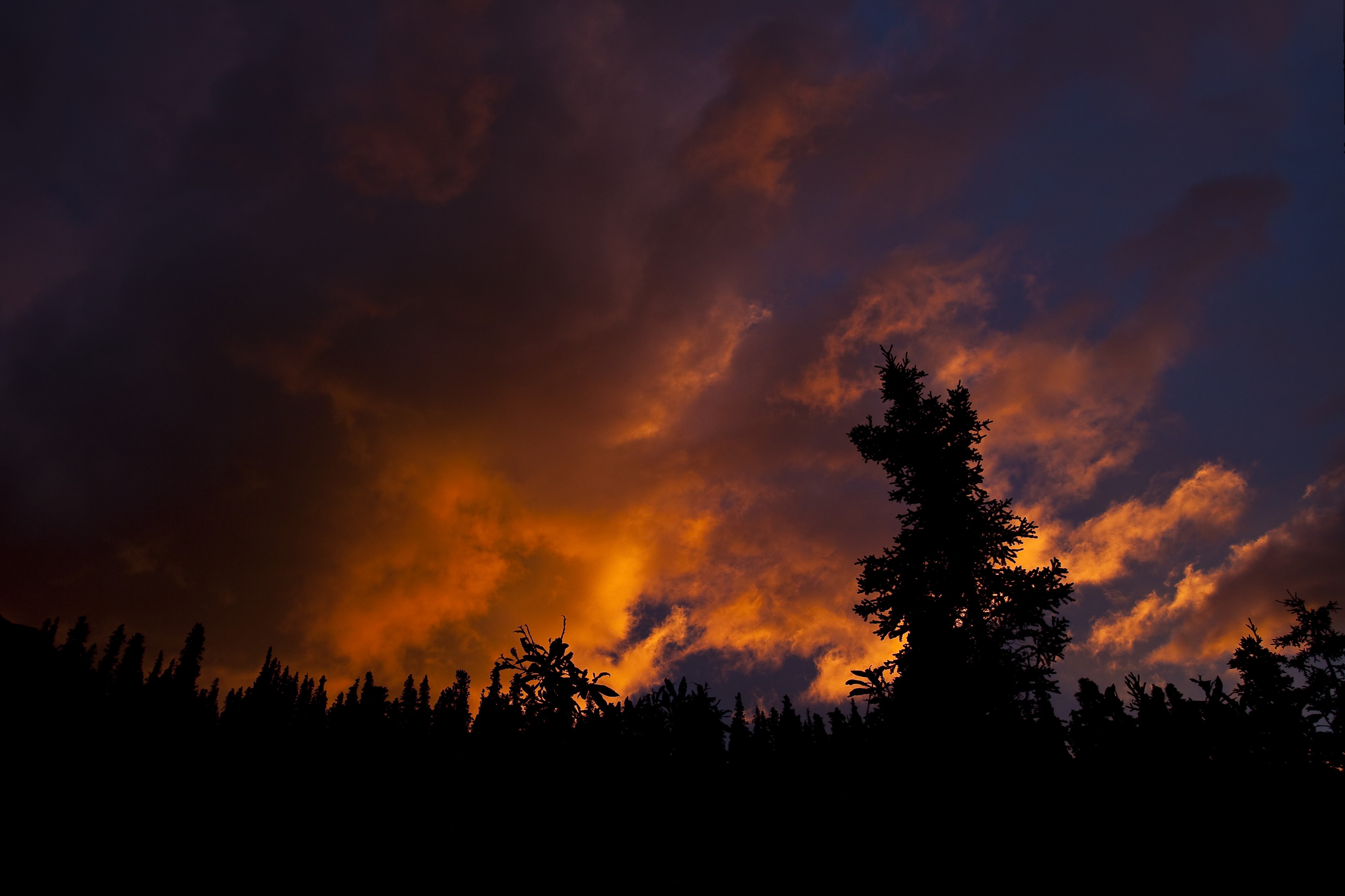 Toklat Sunset (7956369922)