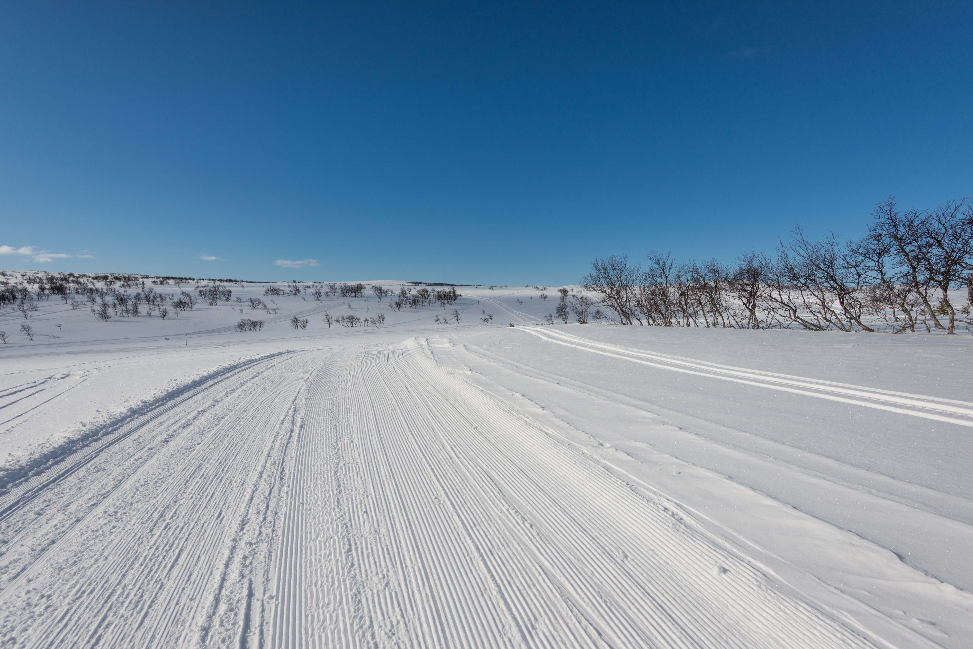 Torkilstöten April 2015 03