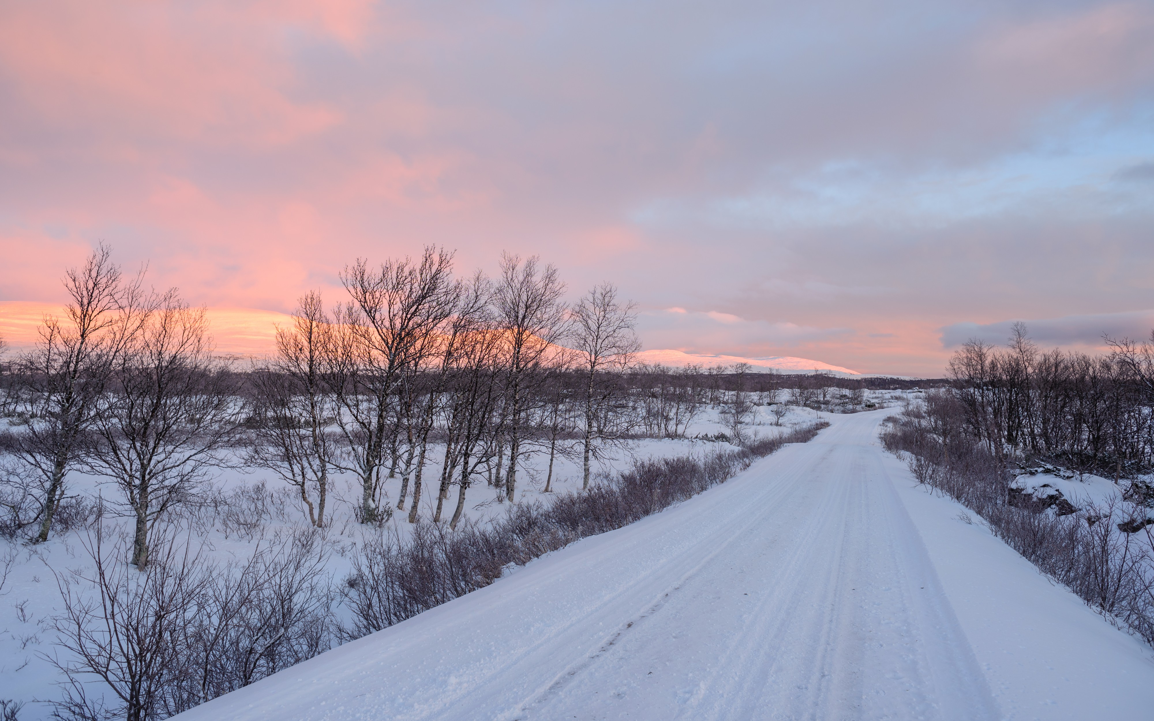 Torkilstöten December 2014