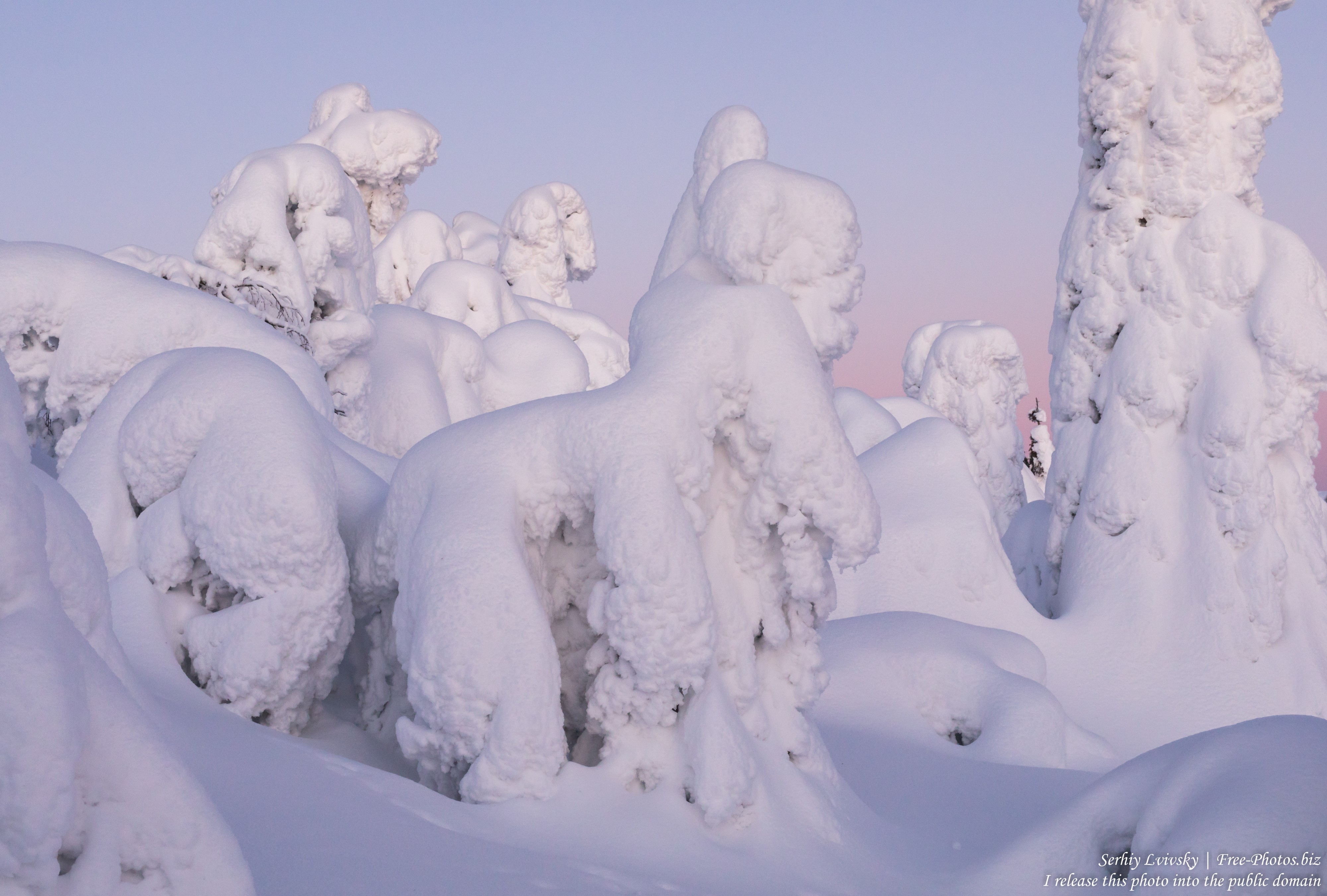 Valtavaara, Finland, photographed in January 2020 by Serhiy Lvivsky, picture 7