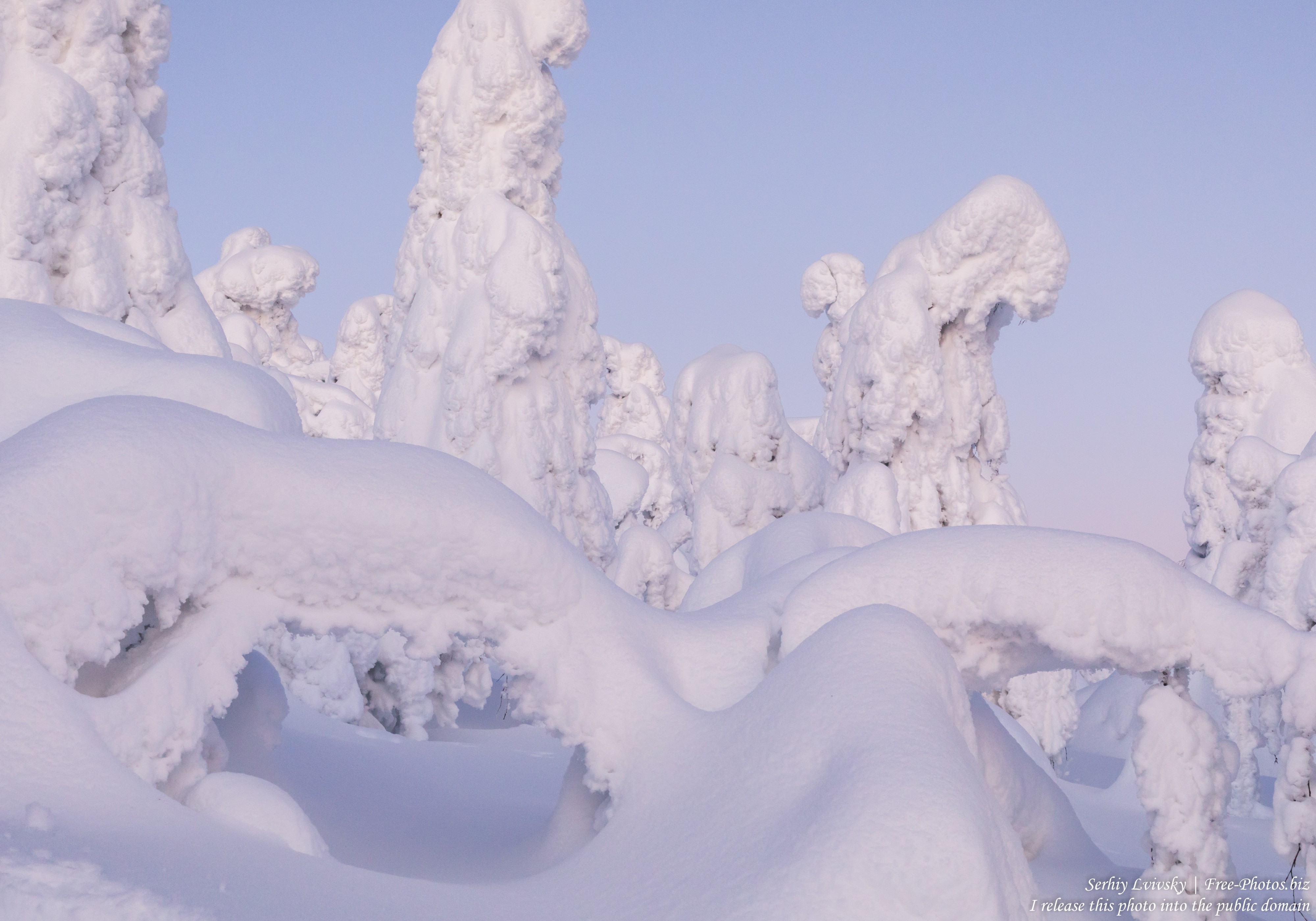 Valtavaara, Finland, photographed in January 2020 by Serhiy Lvivsky, picture 8