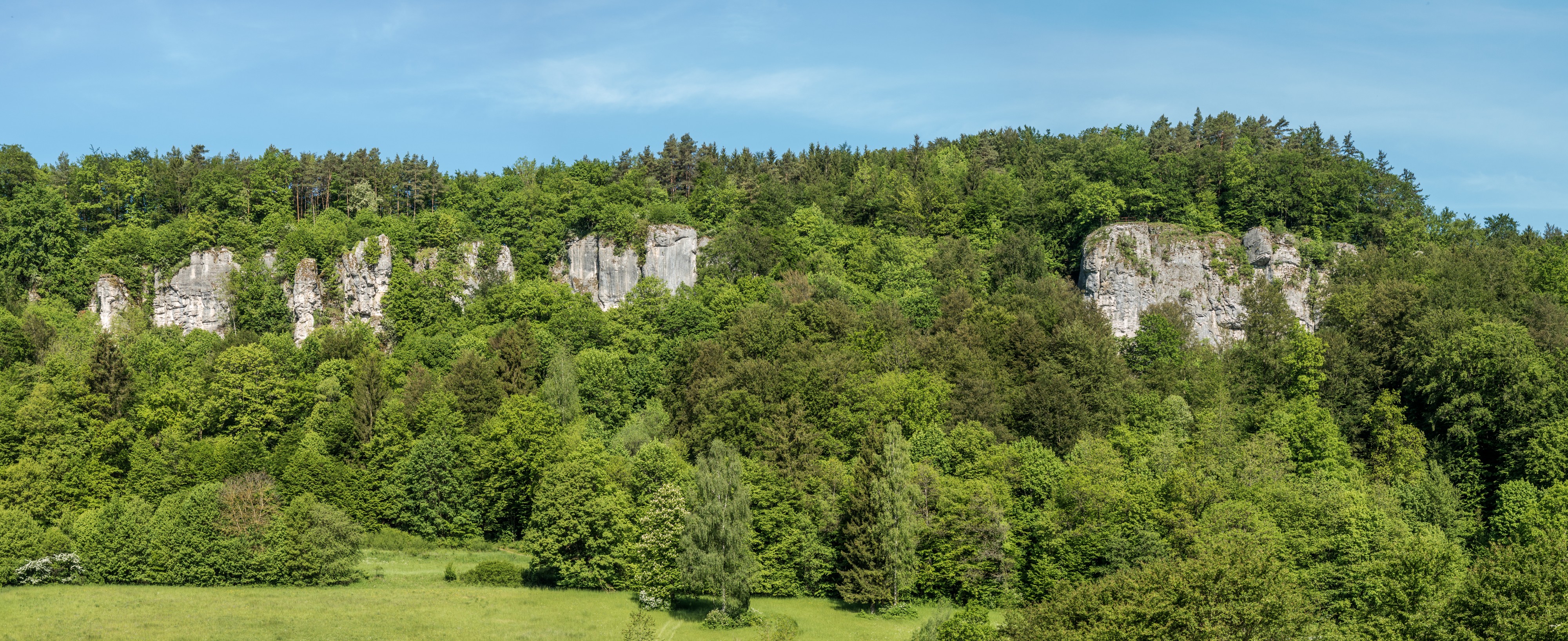 Veilbronn-Totensteine-P5224673-Pano