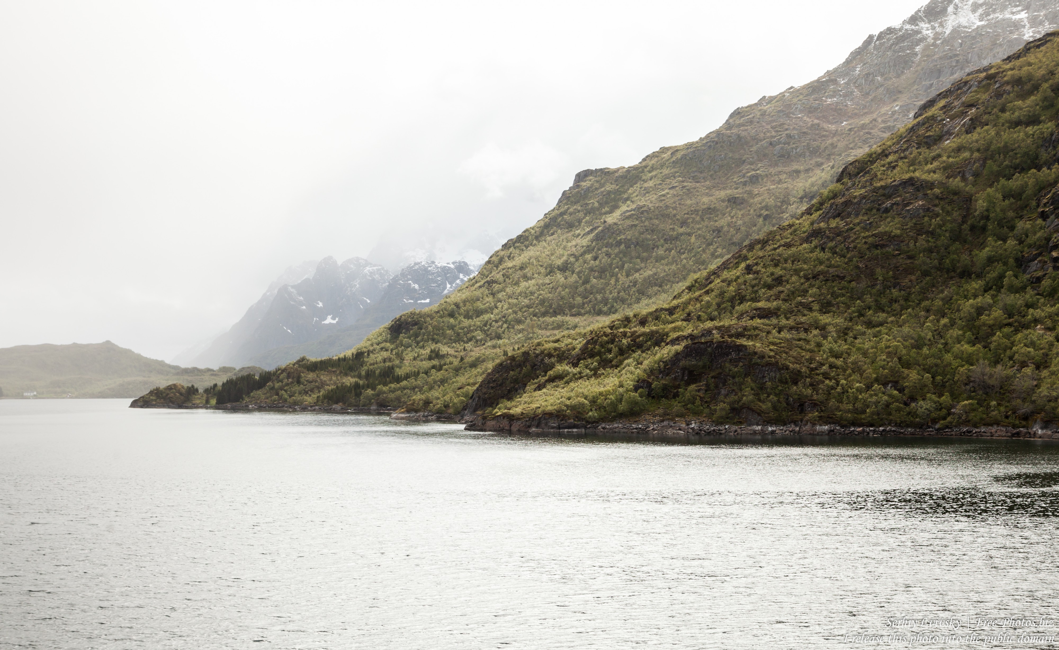 way from Stokmarknes to Trollfjord, Norway, photographed in June 2018 by Serhiy Lvivsky, picture 12