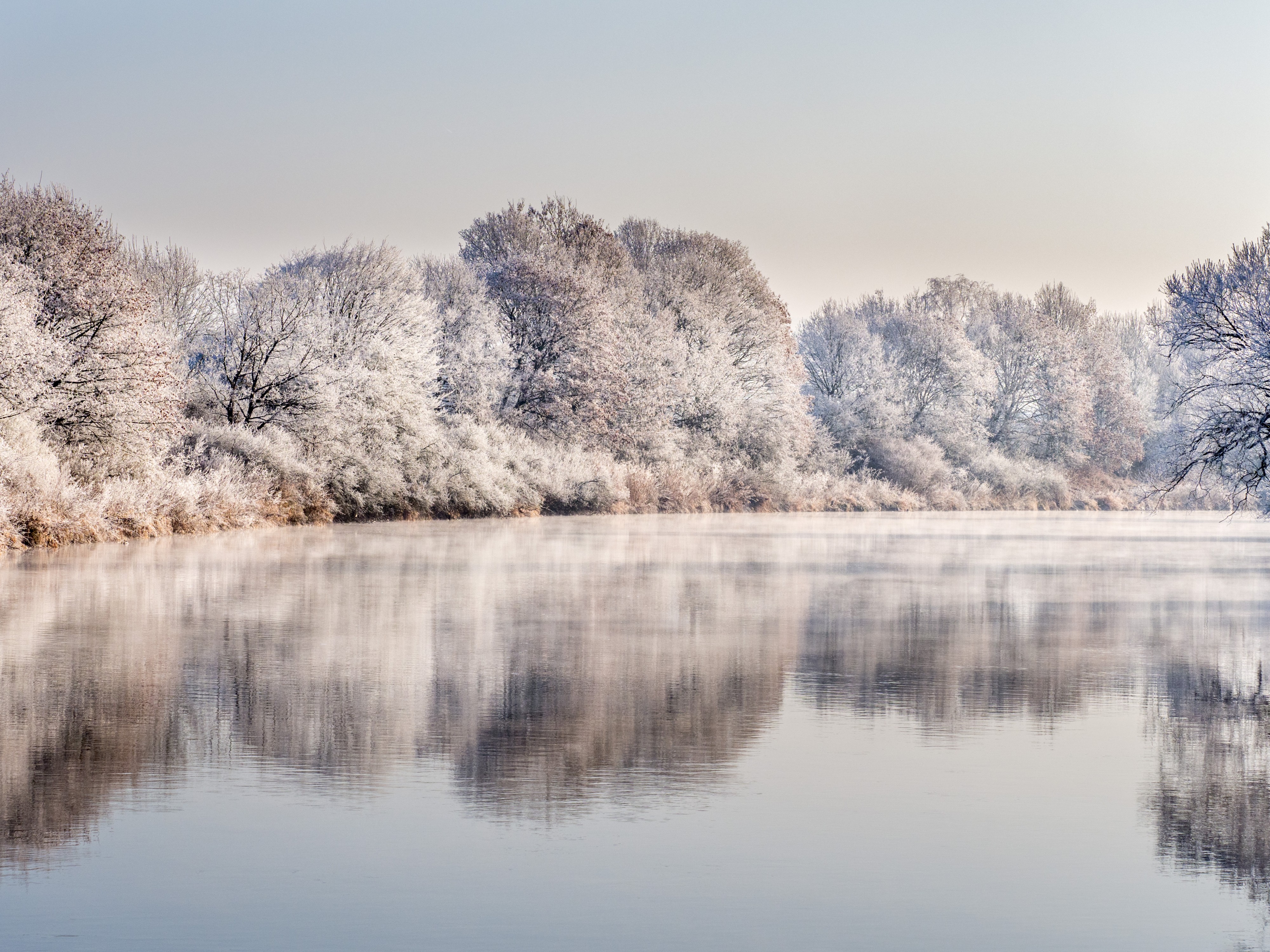Winter-Regnitz-PC310004