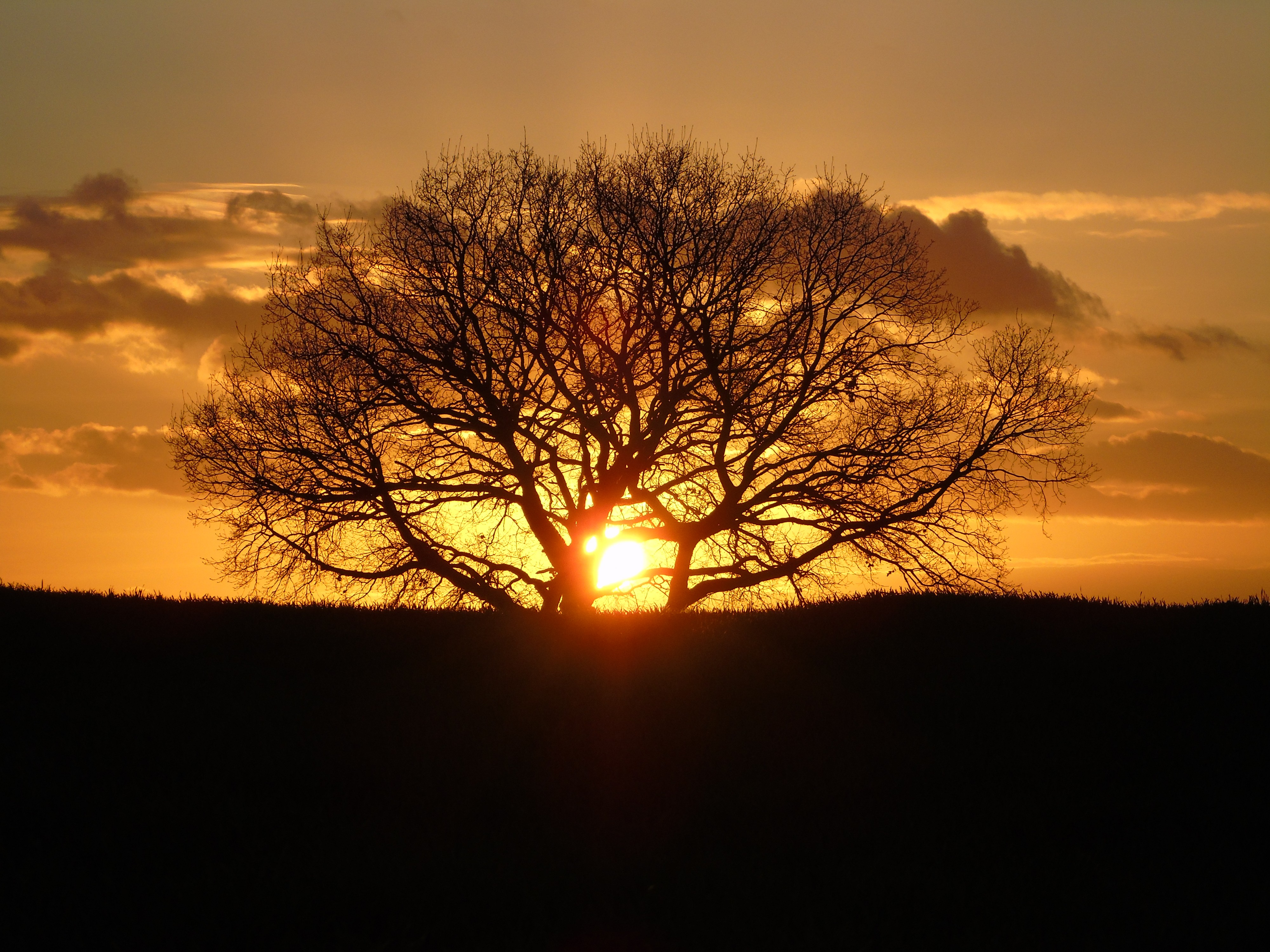 Winter sunset in Southwest of France