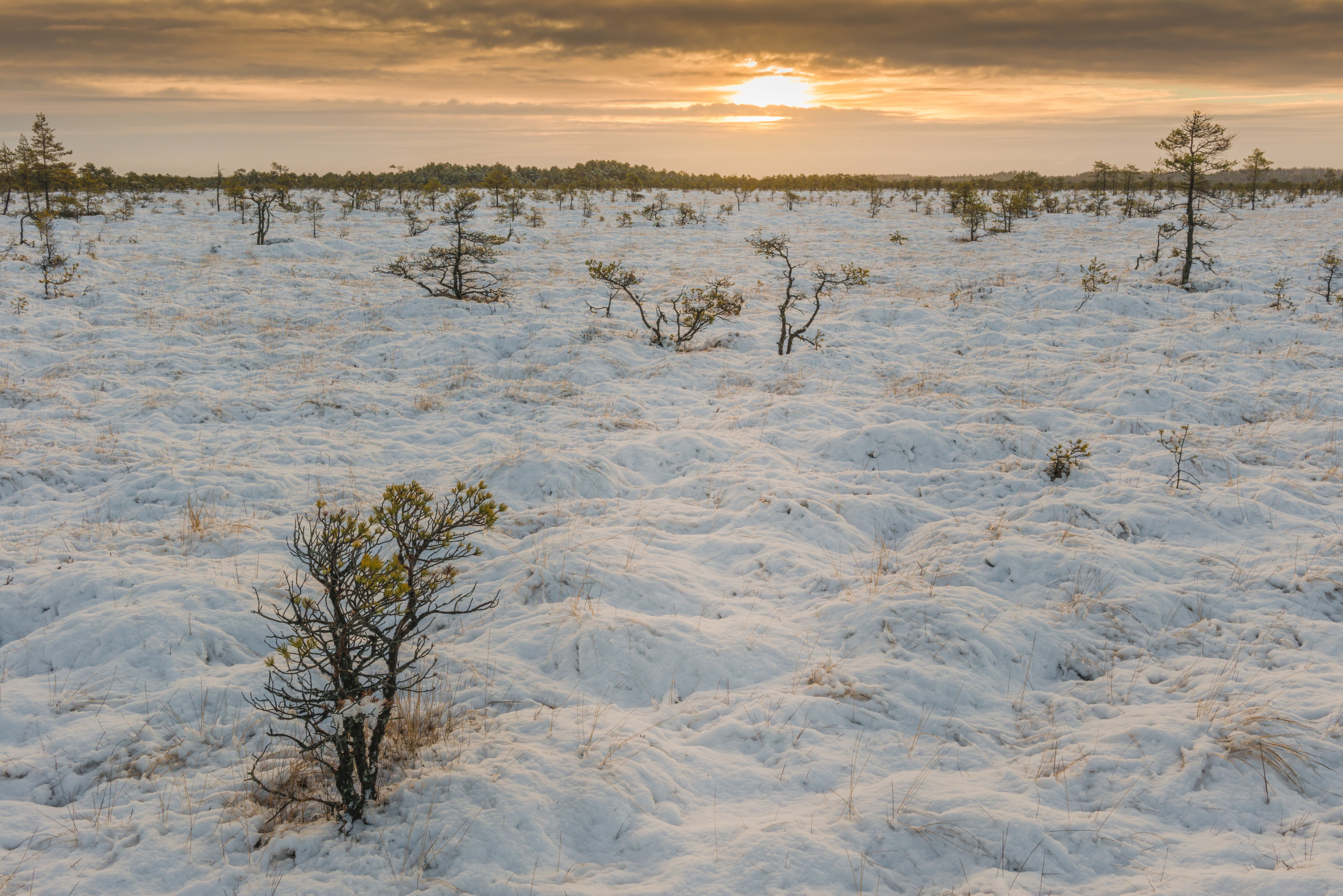 Winter At Kakerdaja
