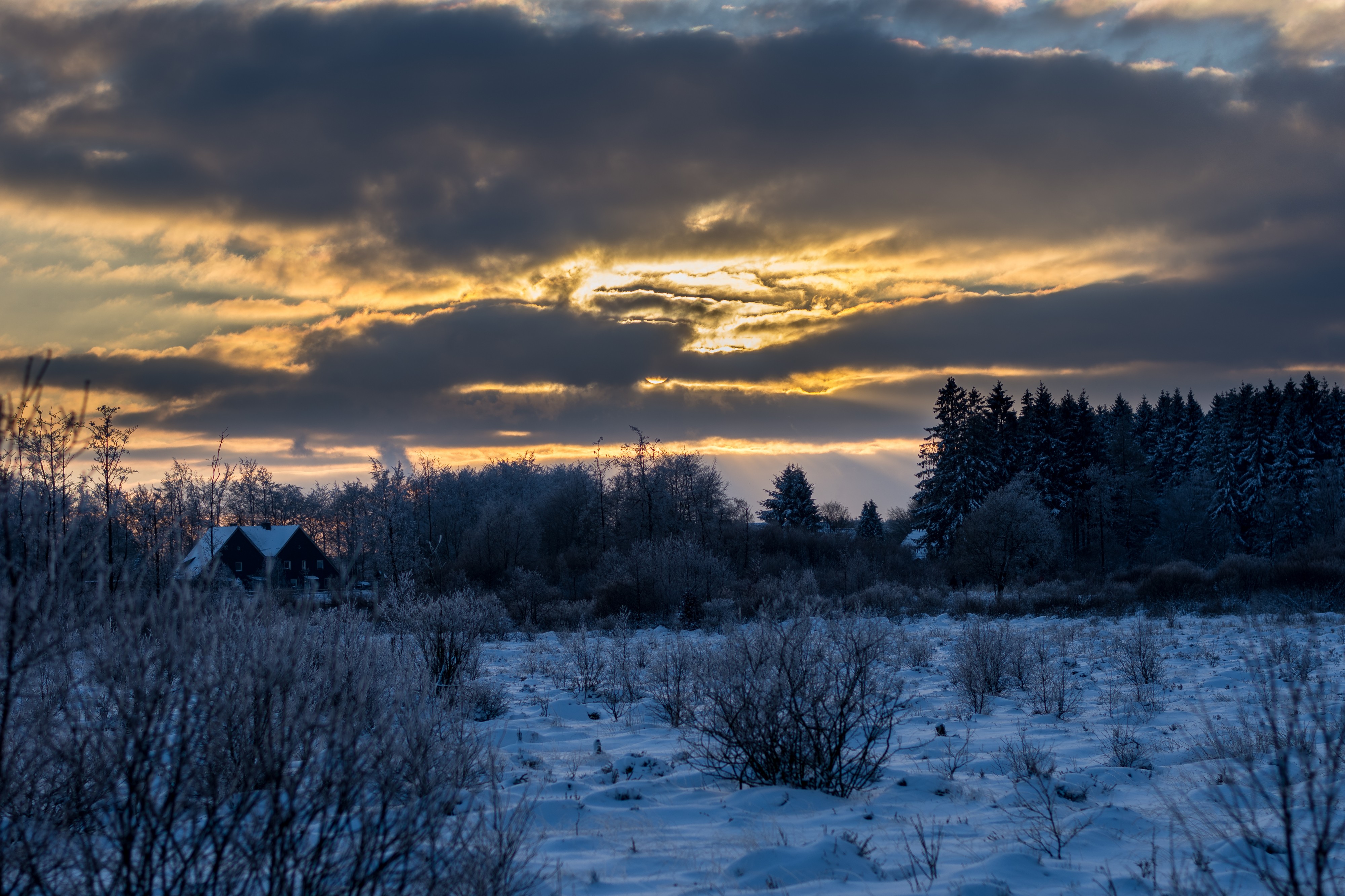Woodhouse sunset (Mützenich NRW)