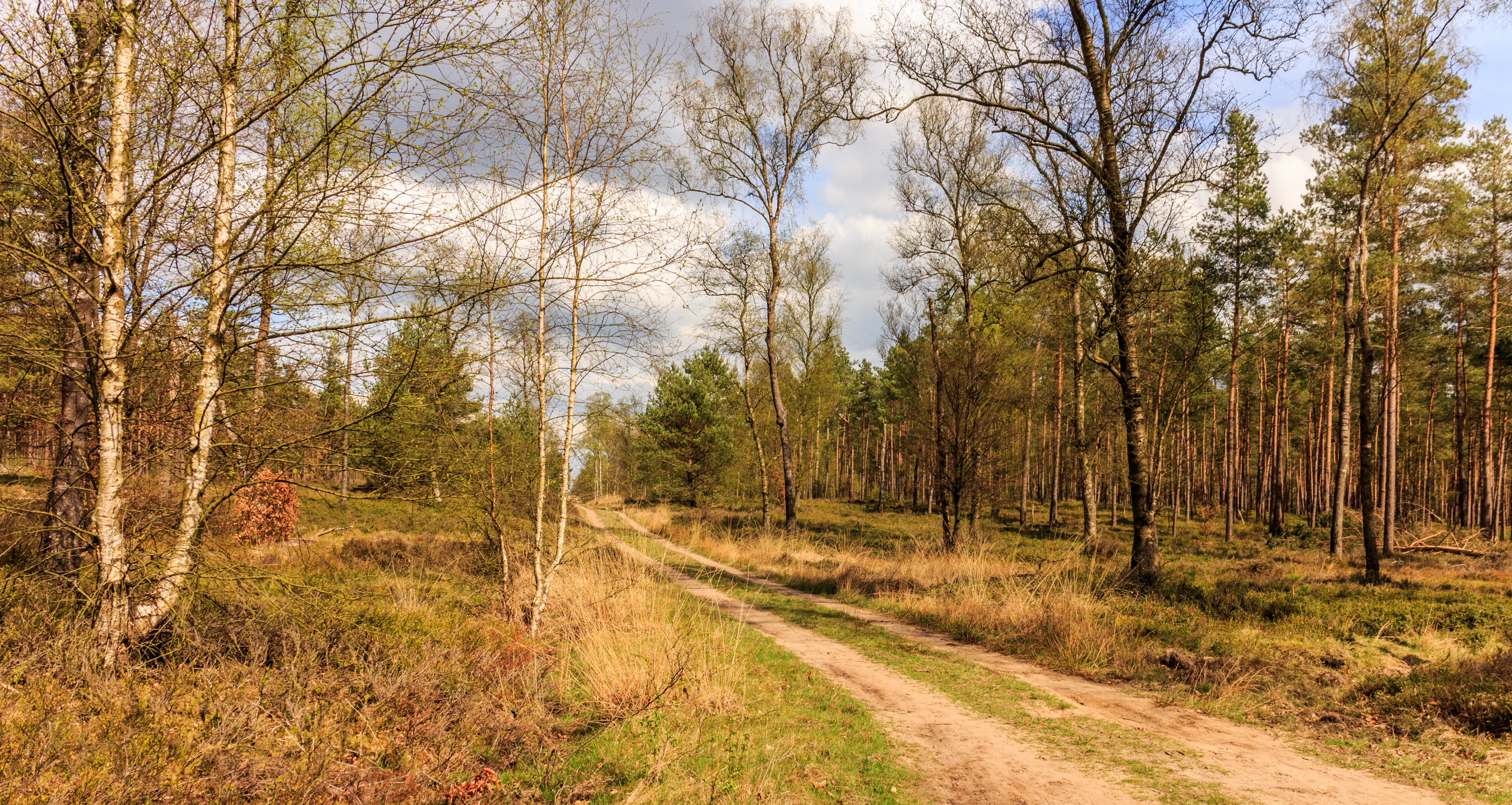 Zandpaden door wildgebied. Locatie, Kroondomein Het Loo
