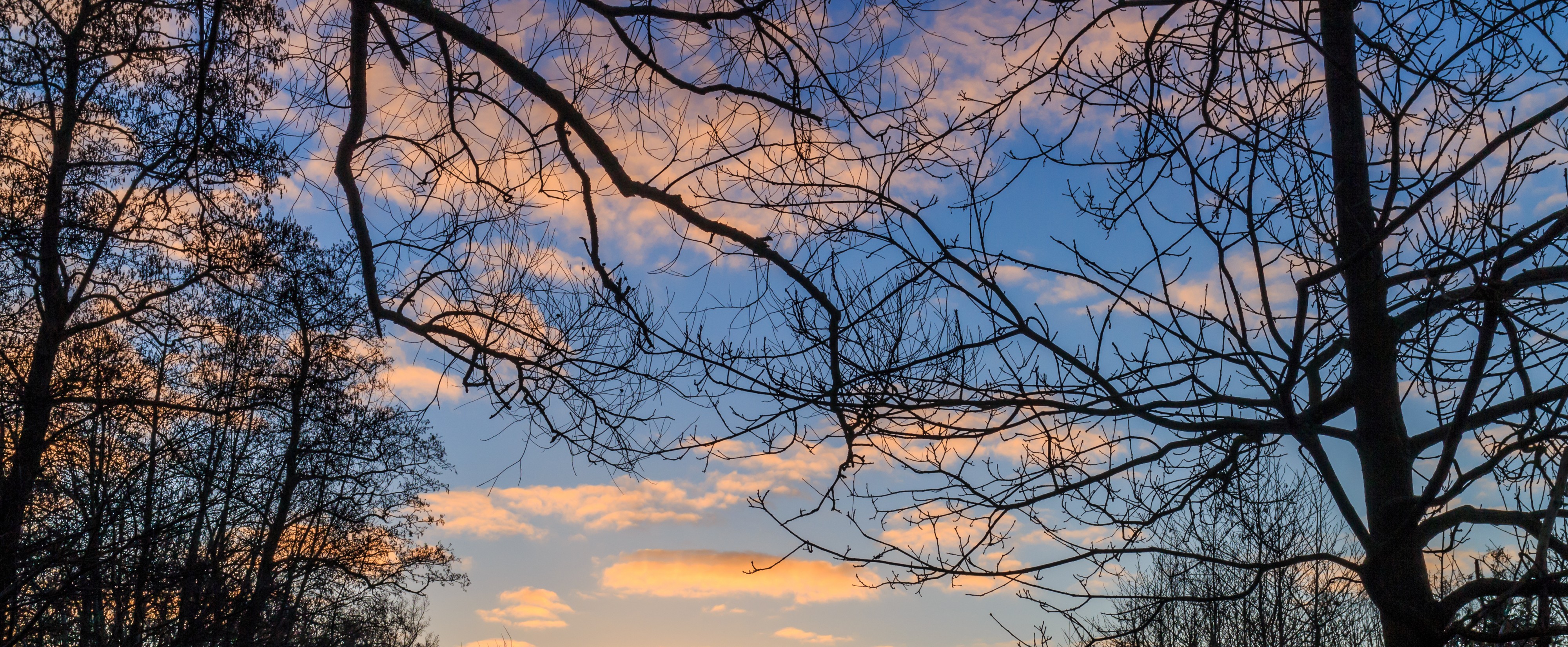 Zonsopgang op De Famberhorst 04