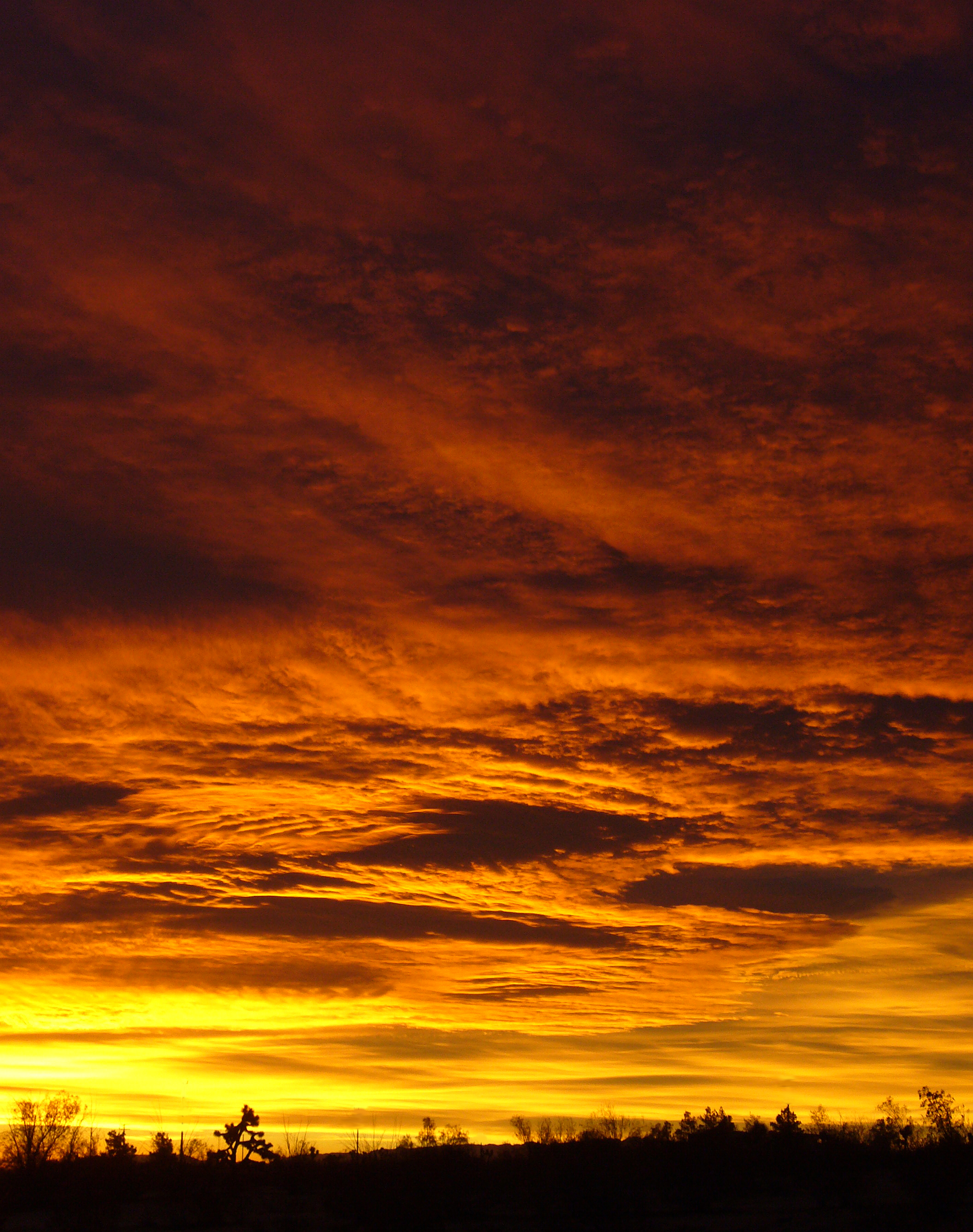 Thunder Sunrise