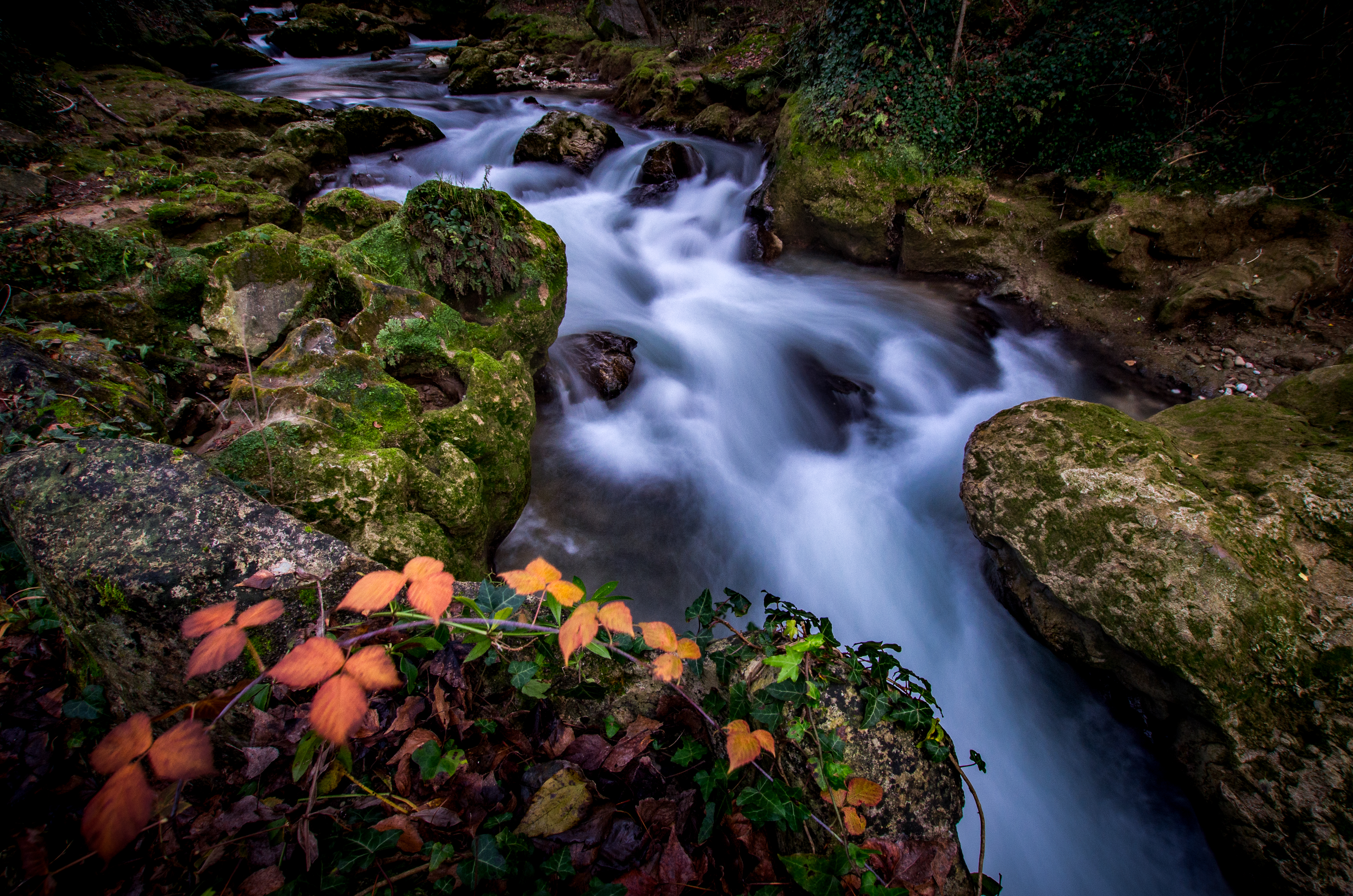 Torrente Serra nel bosco
