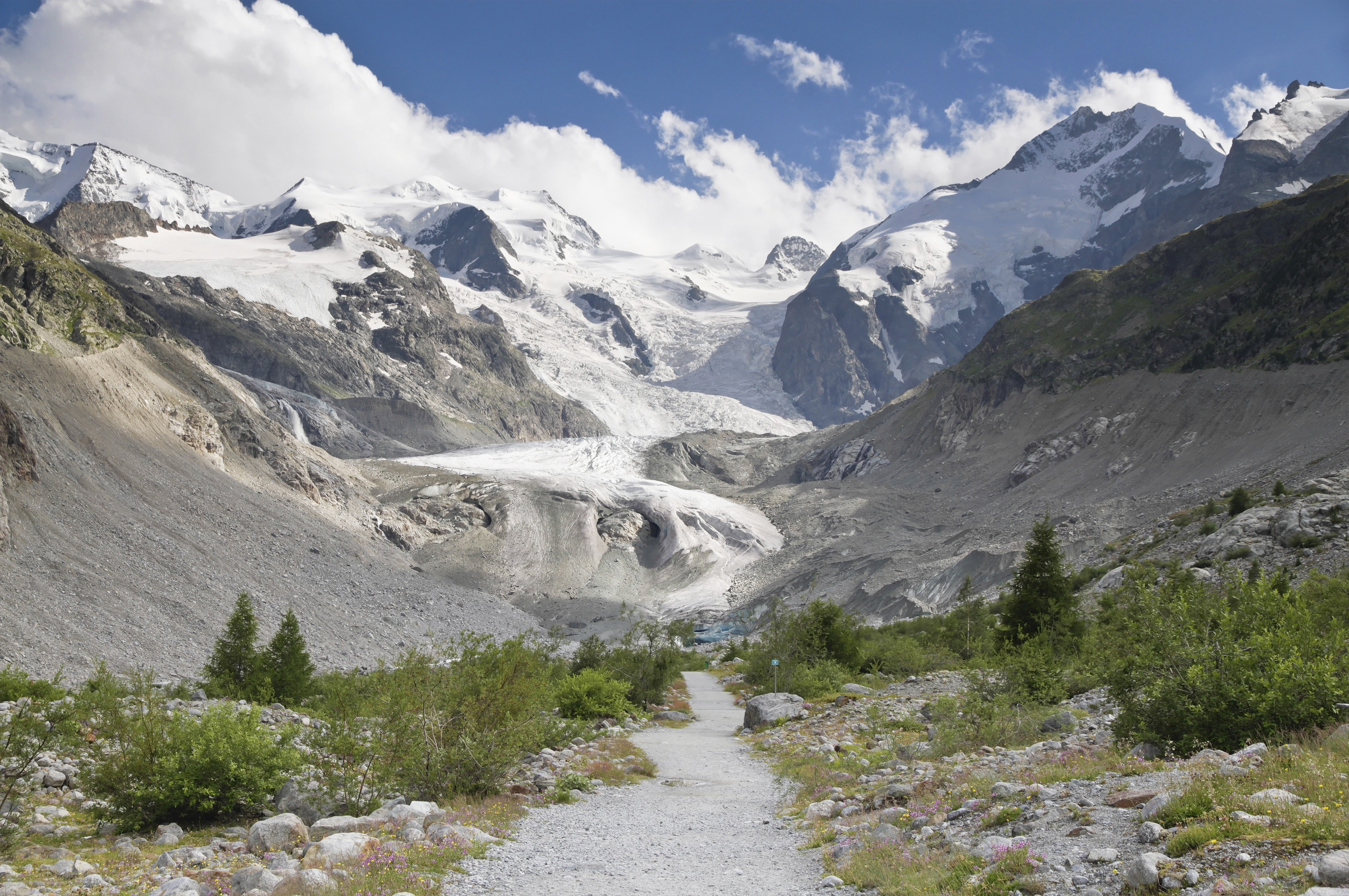 Trail to Morteratsch Glacier in 2012 July