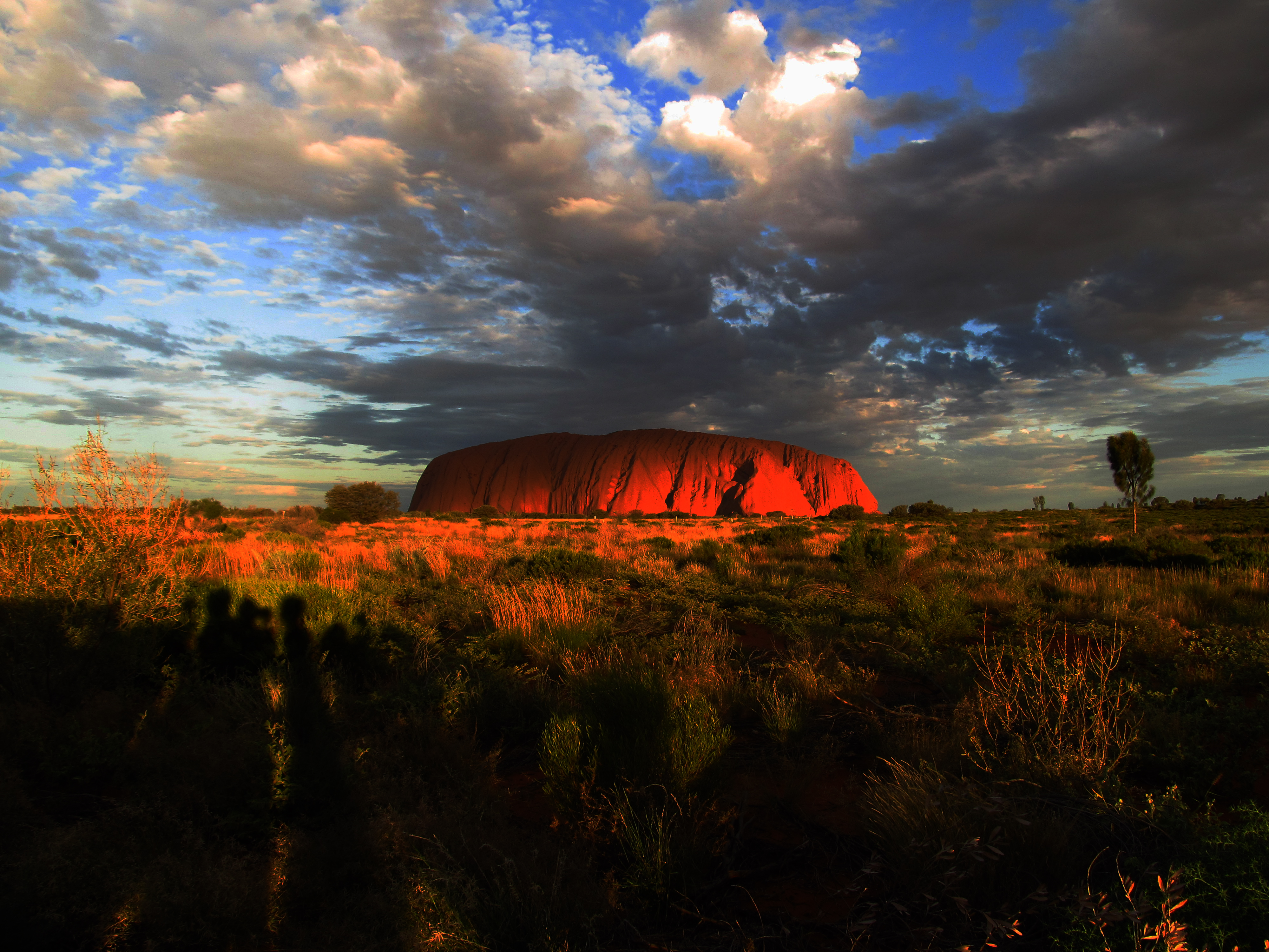 Uluru in the late afternoon (8852588412)