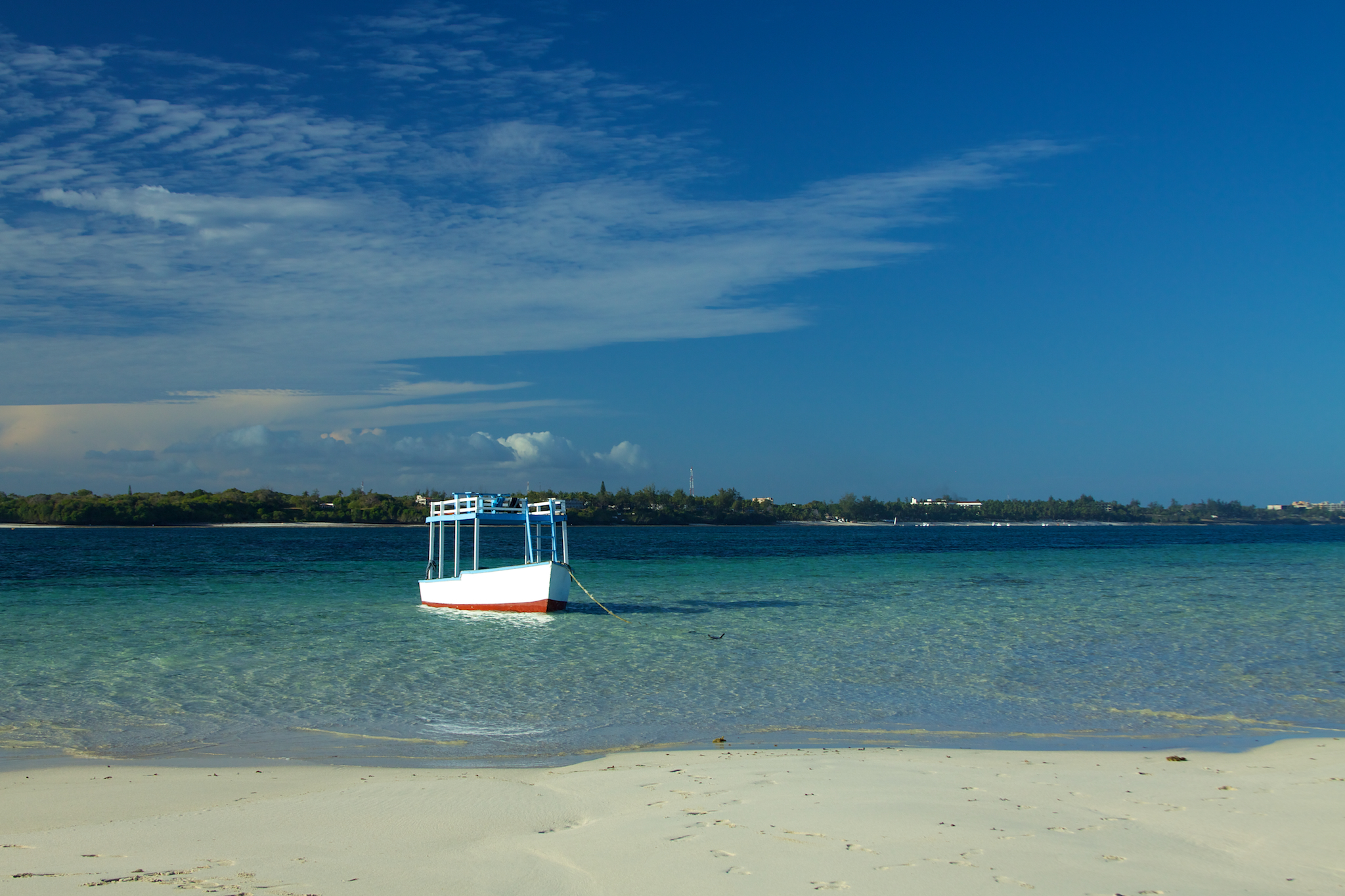 Um, paradise much? (5232093049)
