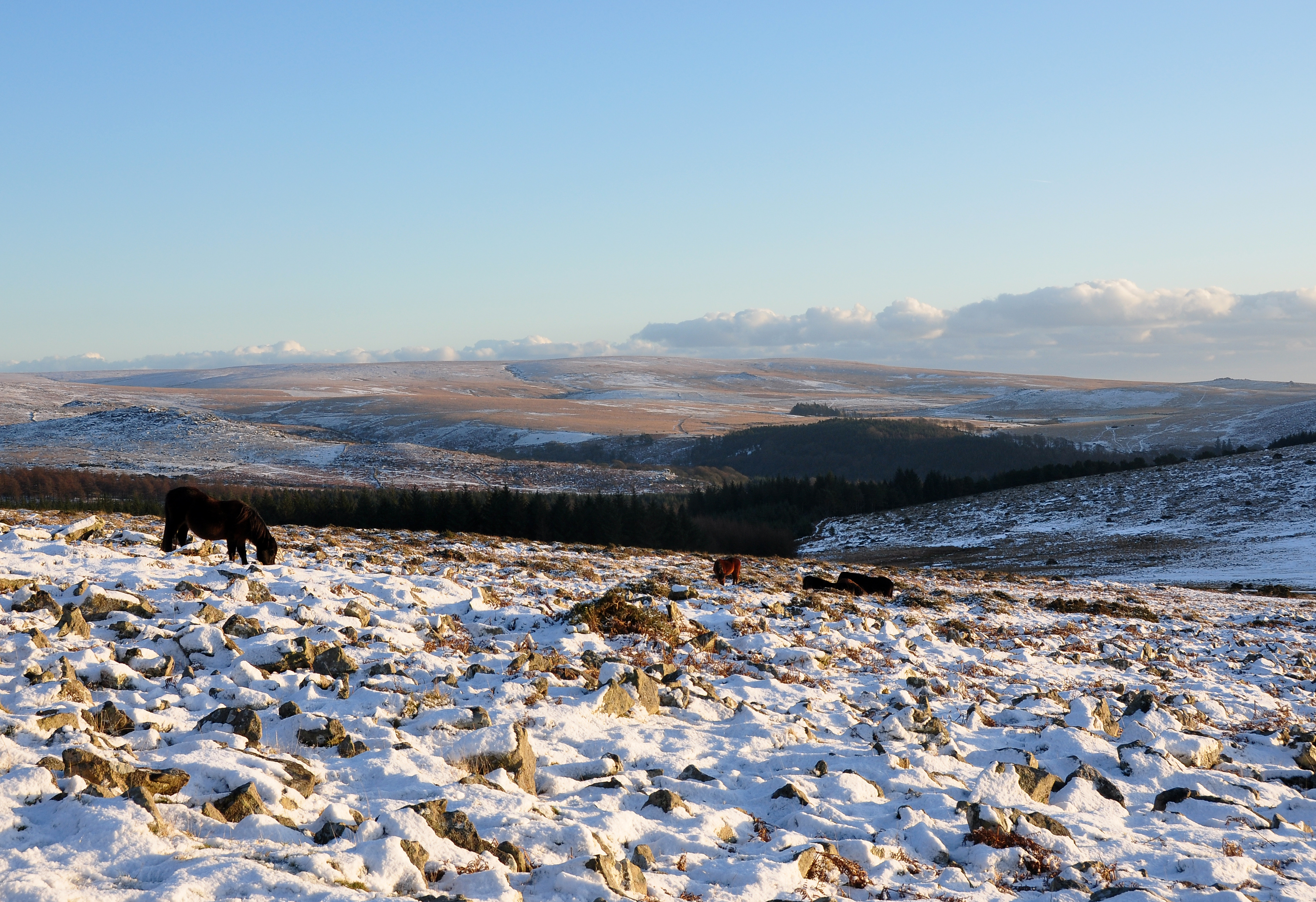 Upper Meavy valley in snow