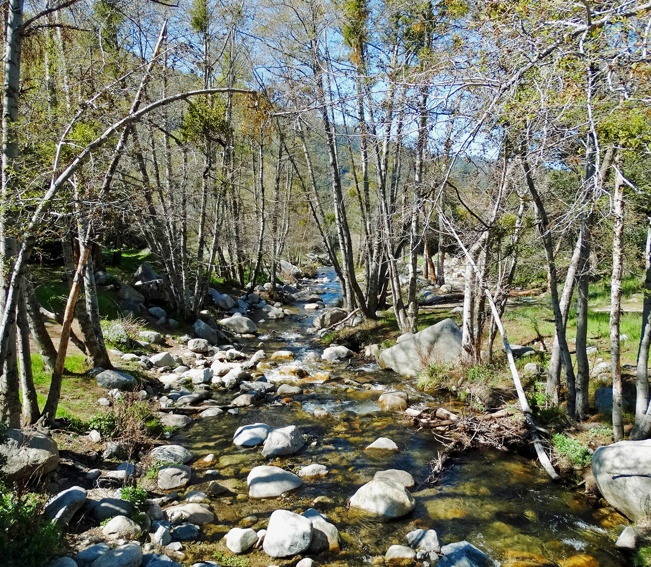 Upper Santa Anna Creek, Seven Oaks 4-14 (20769225669)