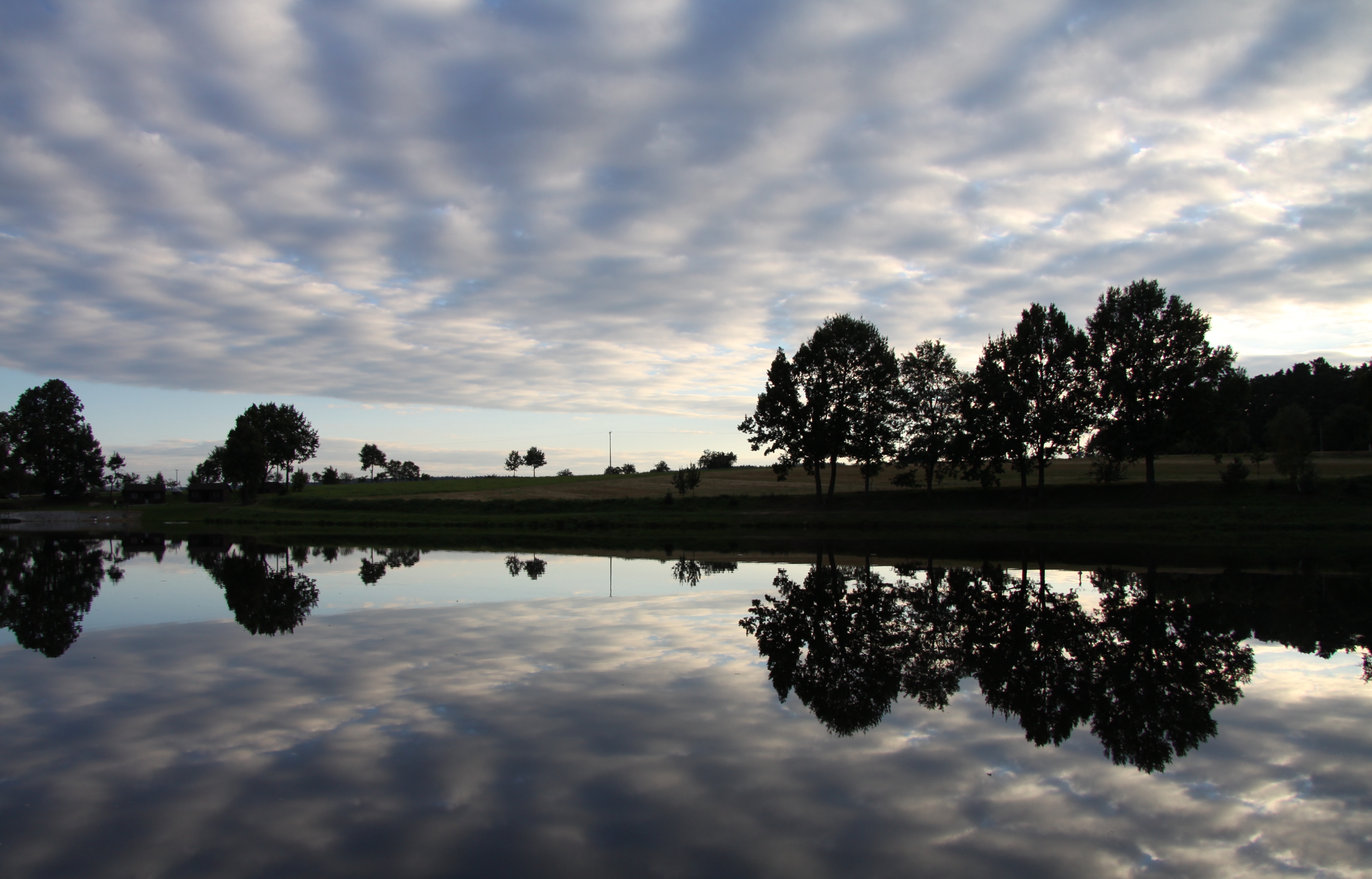 Váša pond near Milevsko (6)