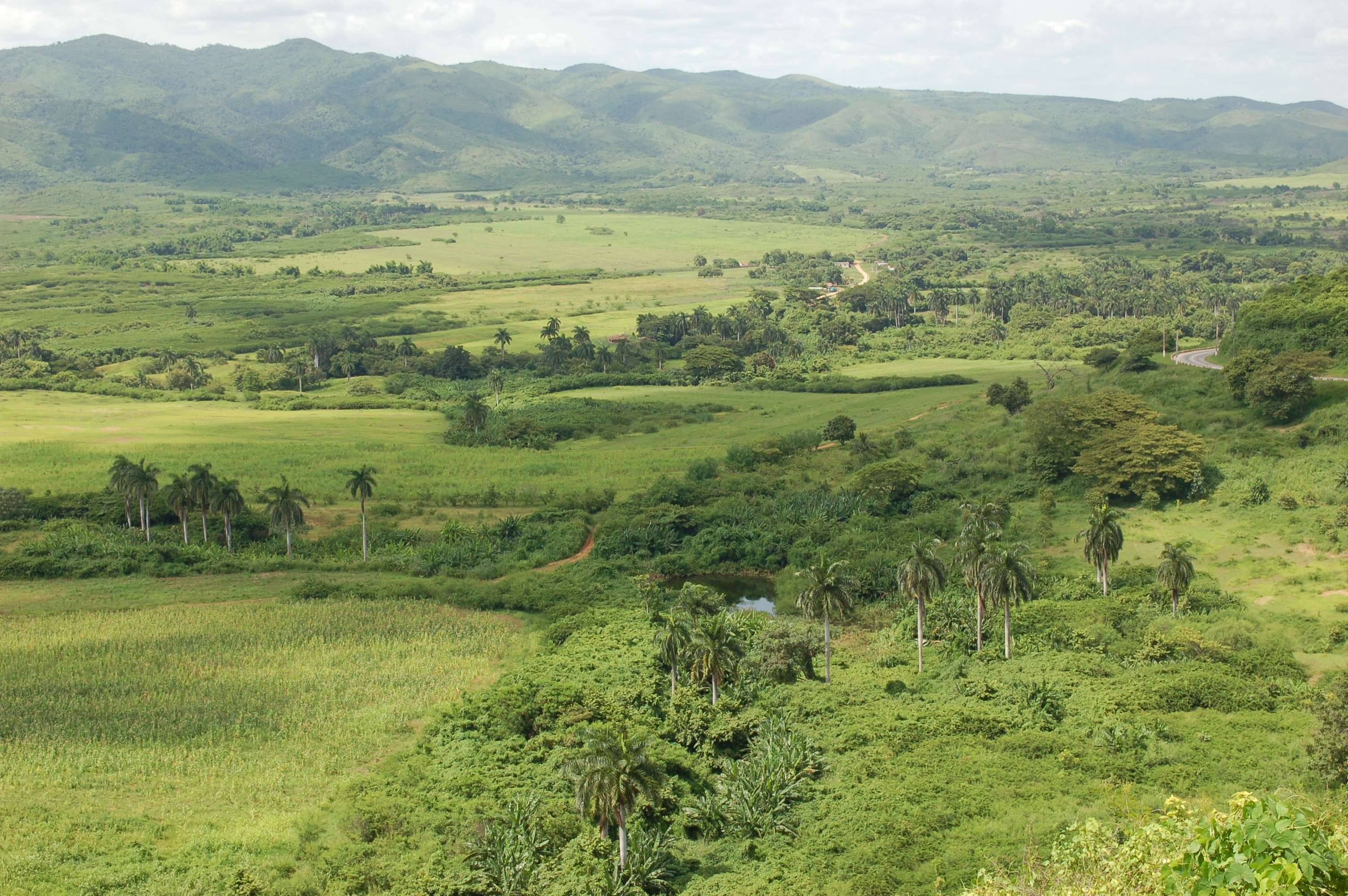 Valle de los Ingenios. Trinidad.Cuba