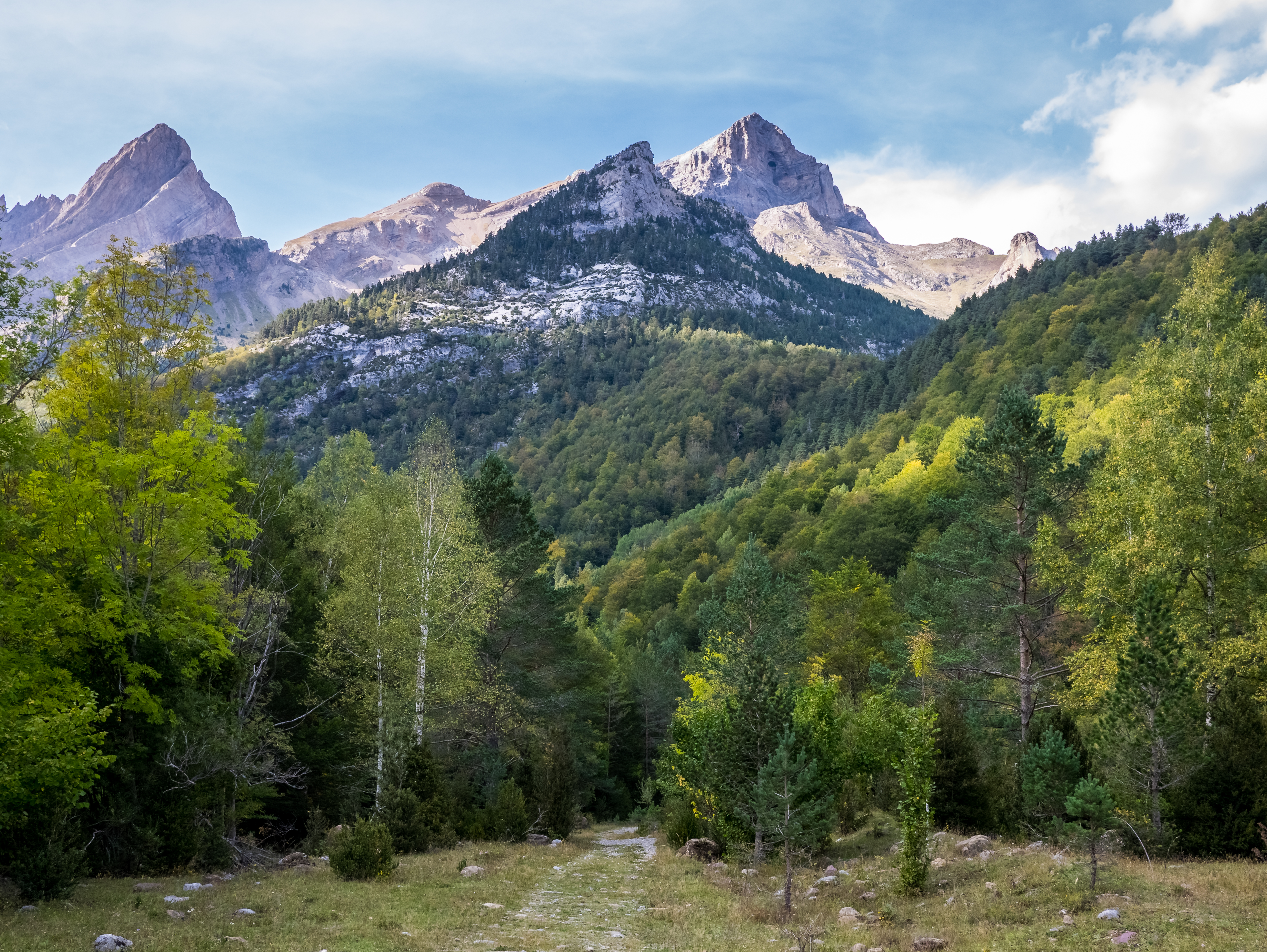 Valle de Pineta - Fondo del valle 01