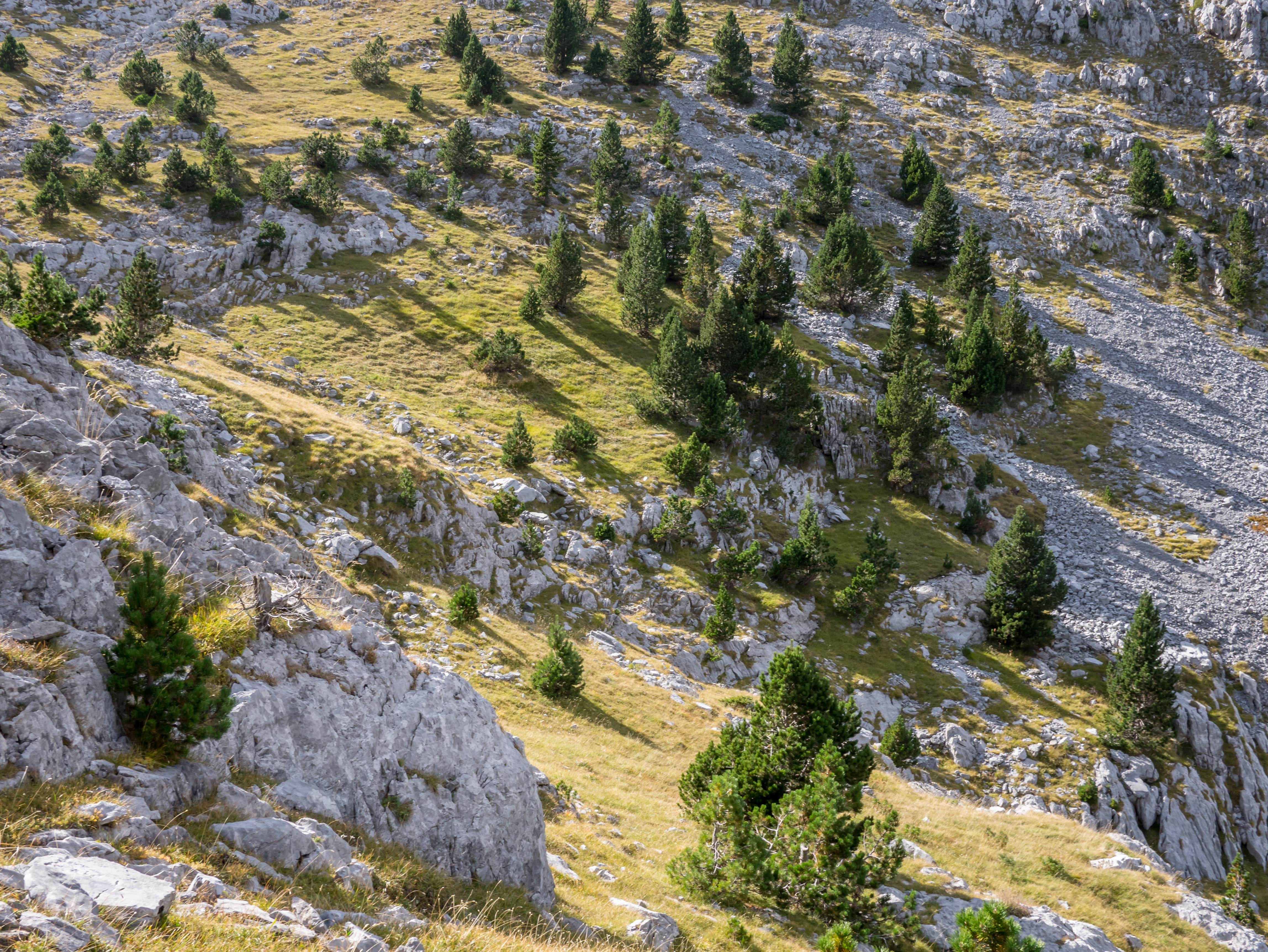 Valle de Pineta - Paisaje 03
