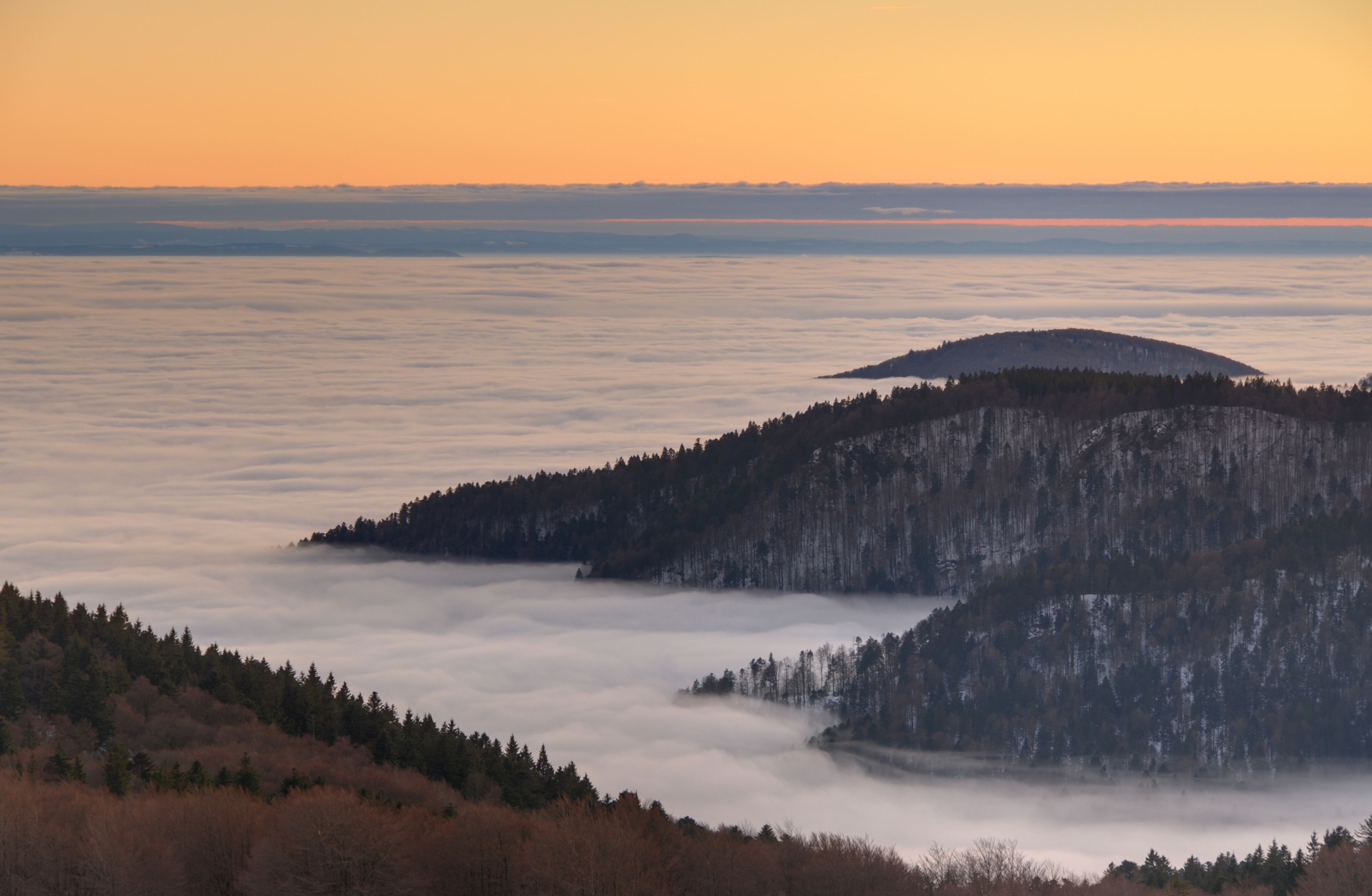 Vallee-brouillard