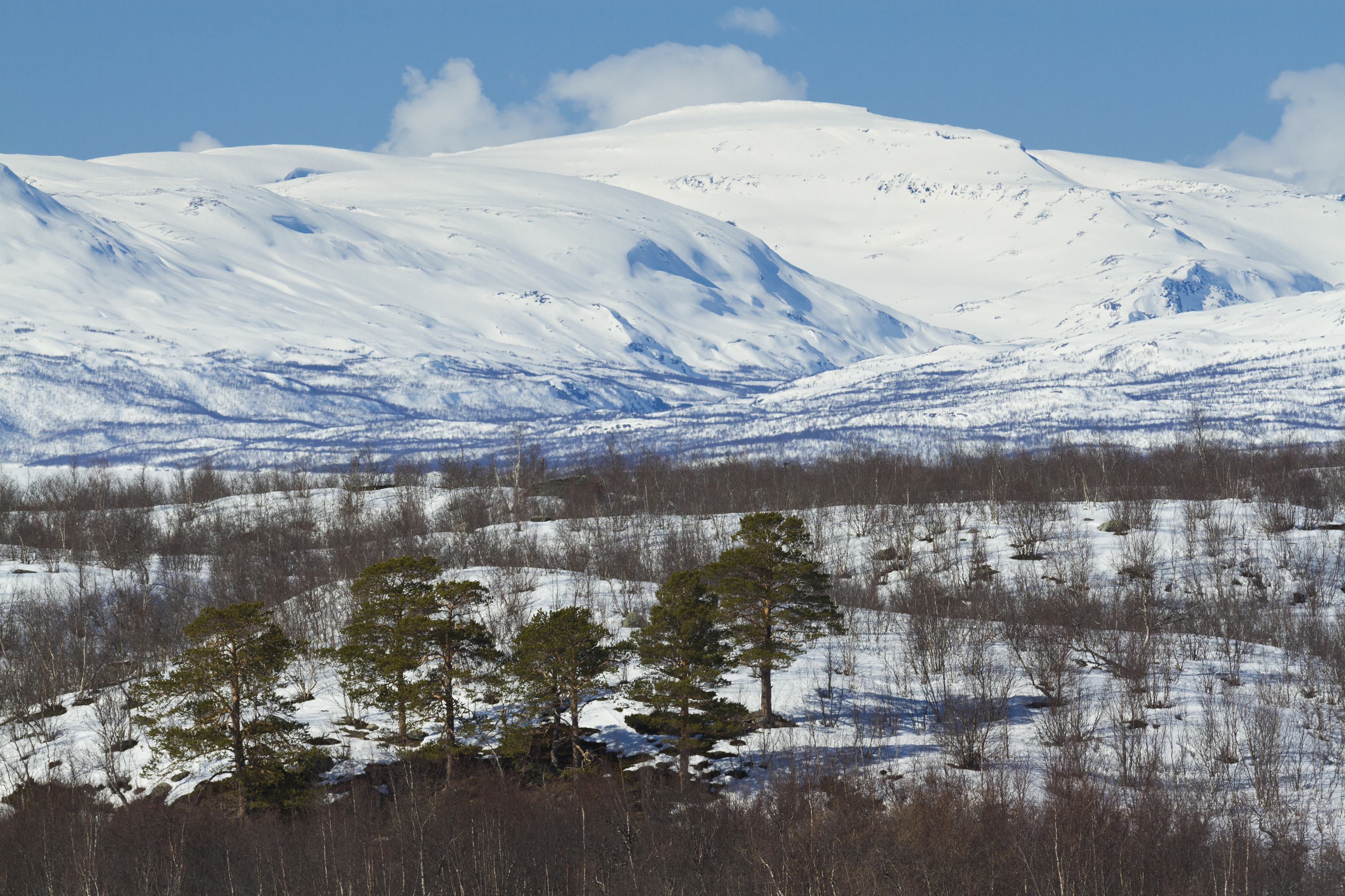 View to Riehppecohkka, Jalgesvárri and Sørdalen from Abisko, Norrbotten, Sweden, 2015 April