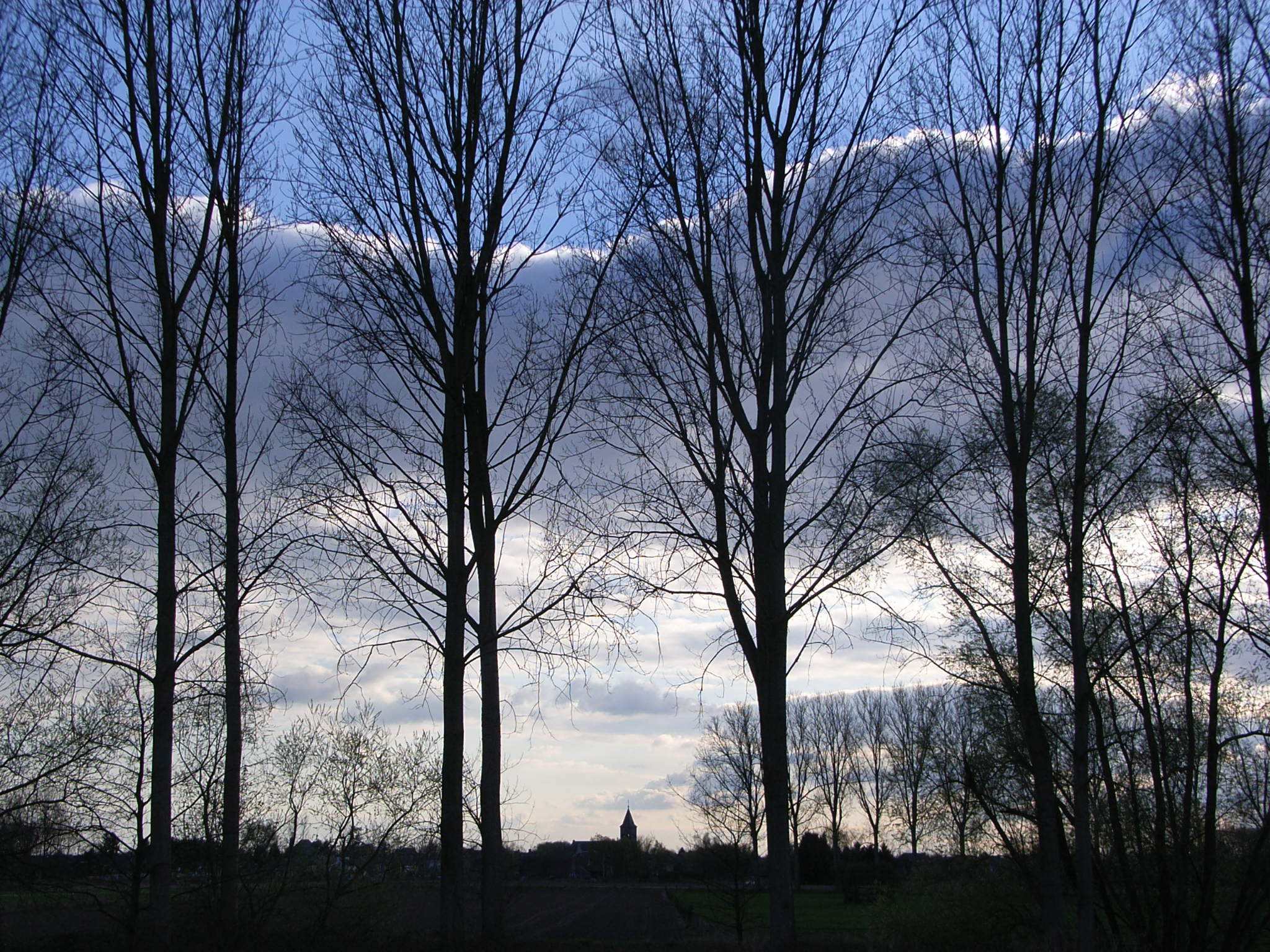 Vlodrop evening