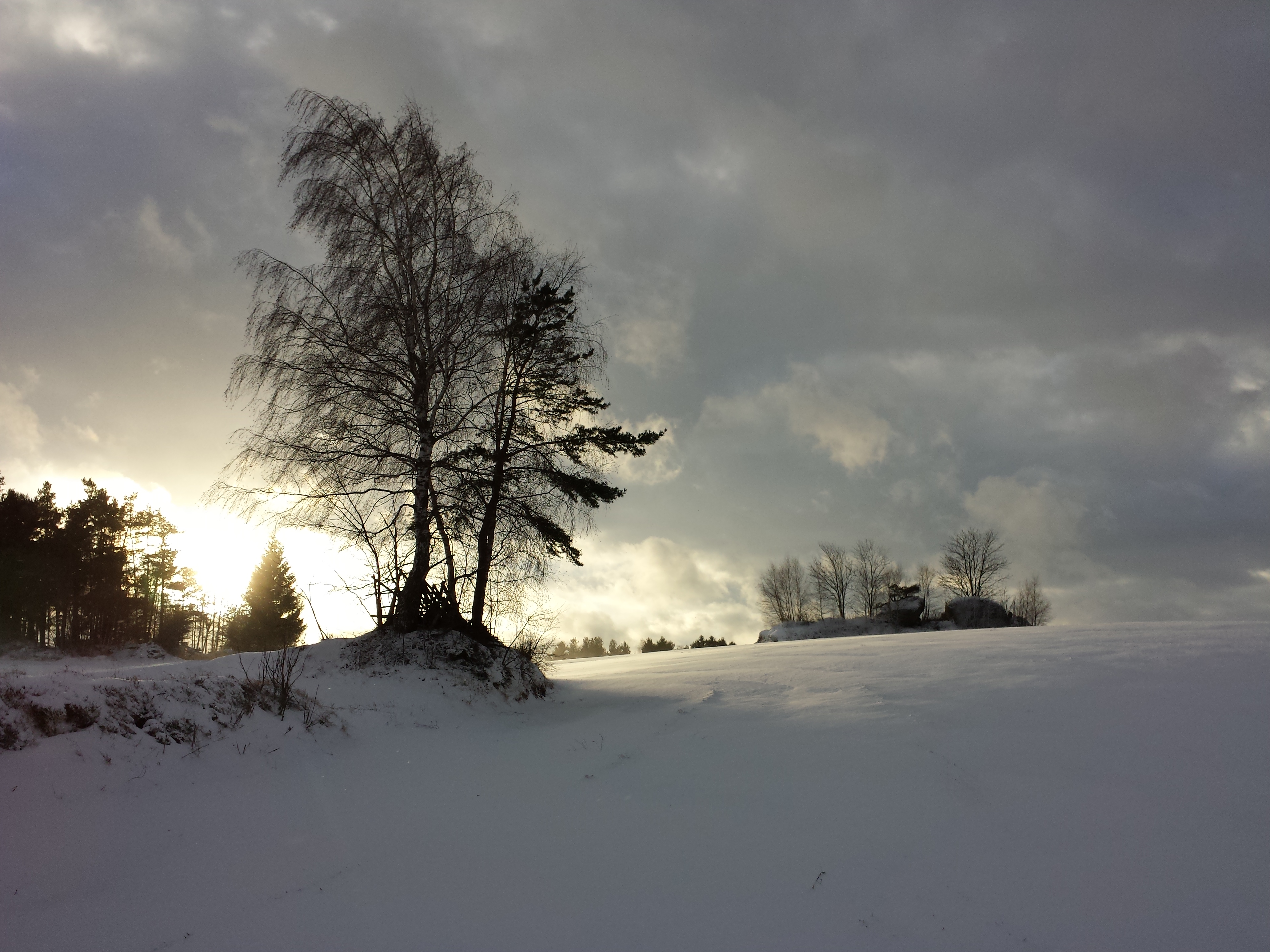 winter landscape near Griesbach; district Zwettl, Lower Austria | Waldviertler Landschaft sl10