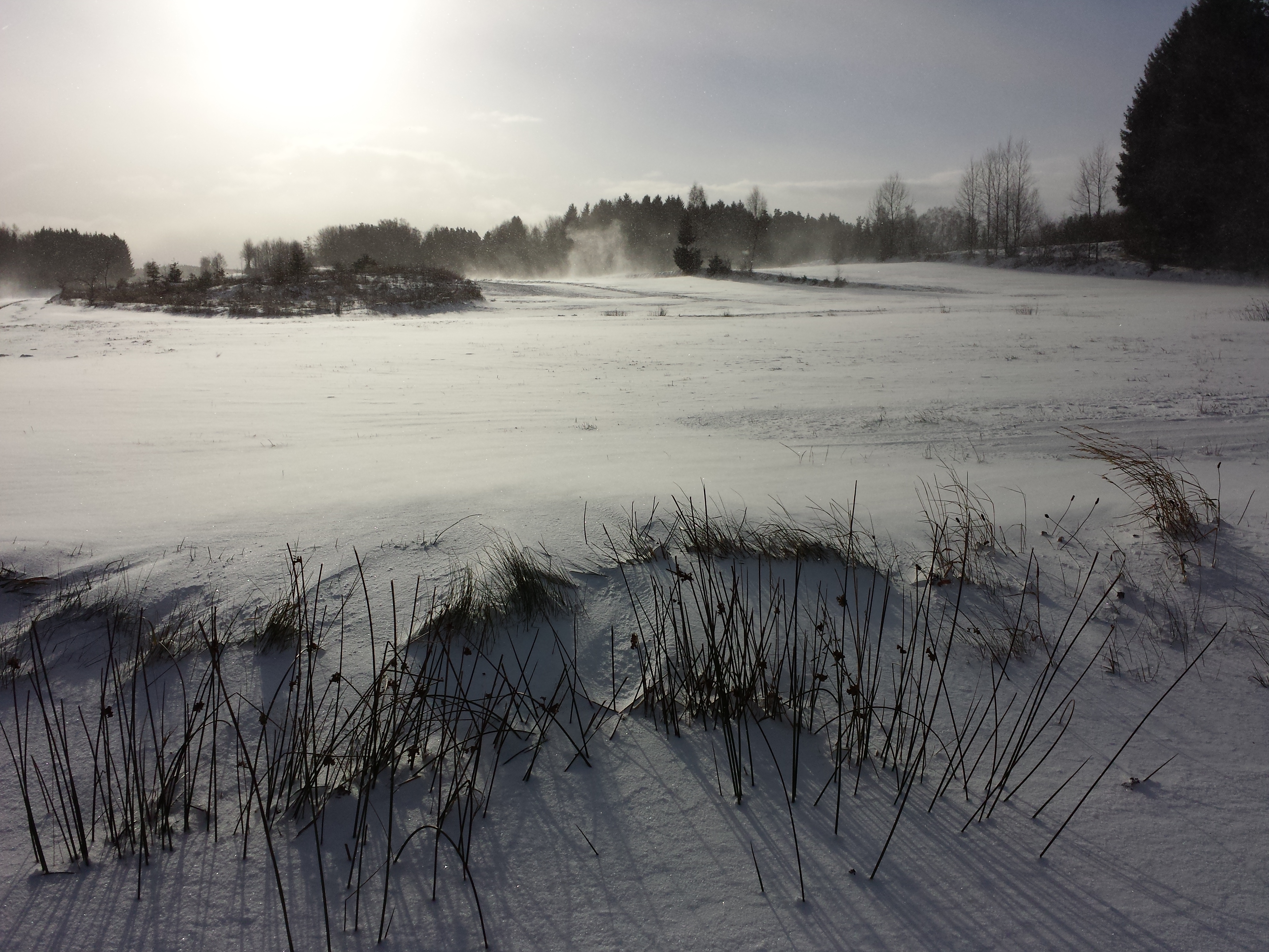 Waldviertler Landschaft sl11