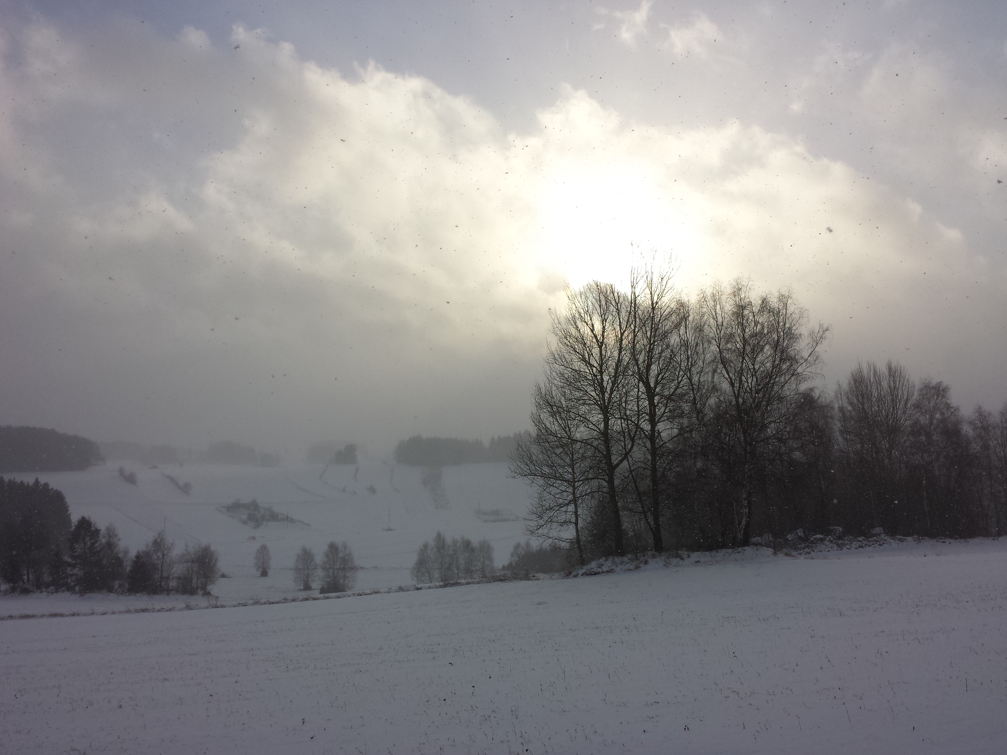 Waldviertler Landschaft sl6