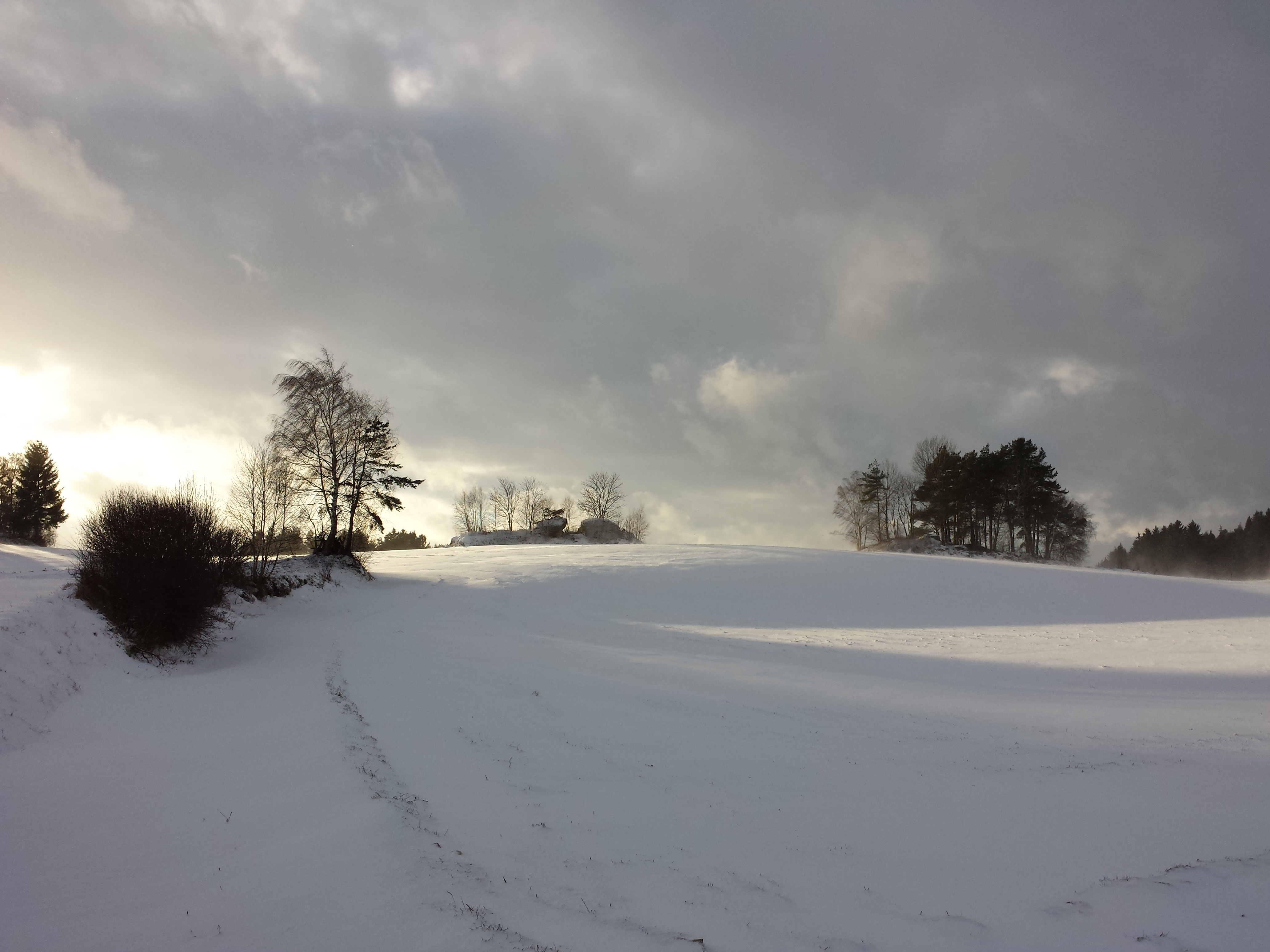 Waldviertler Landschaft sl9