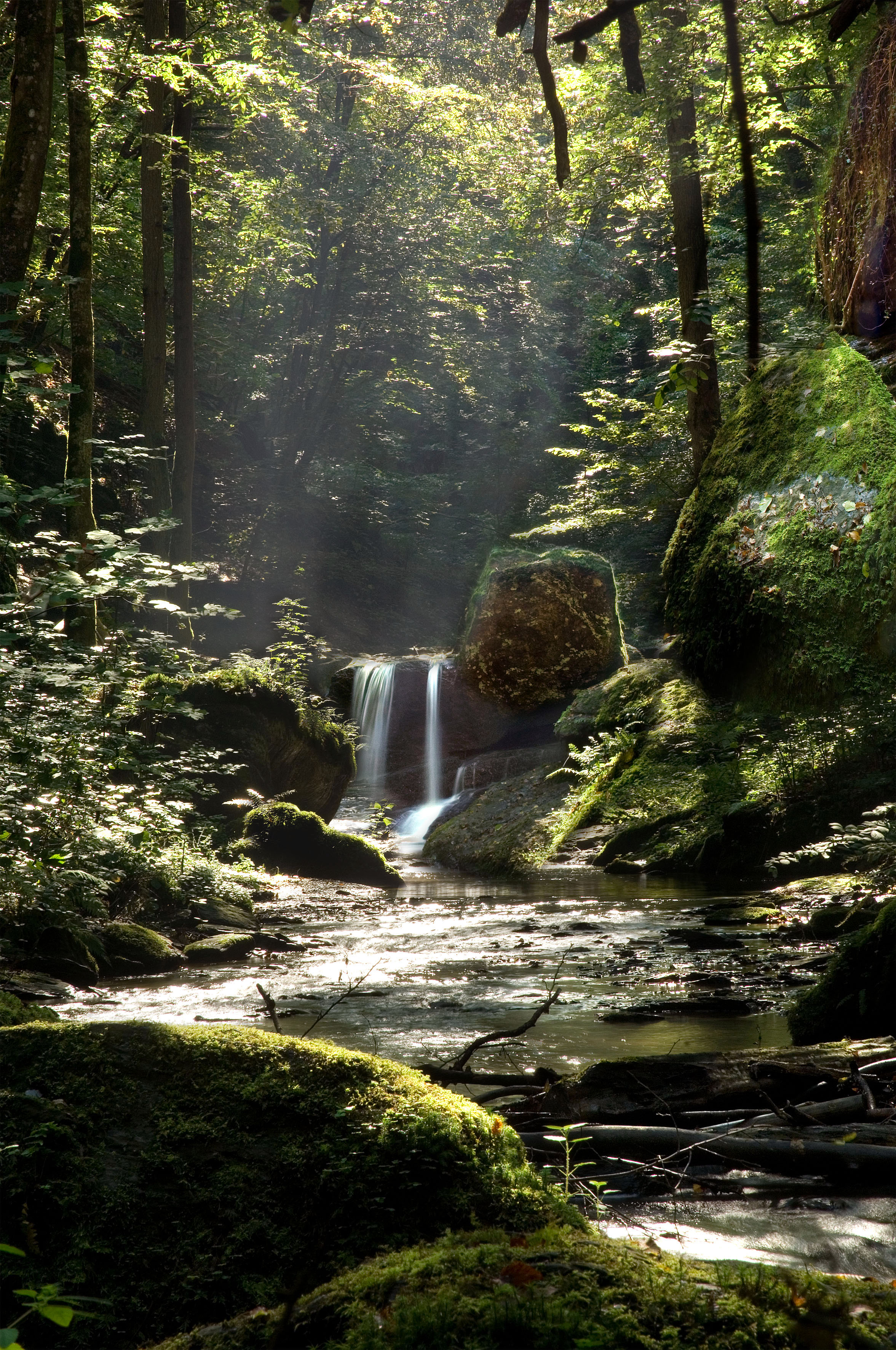 Wasserfall in der Ehrbachklamm
