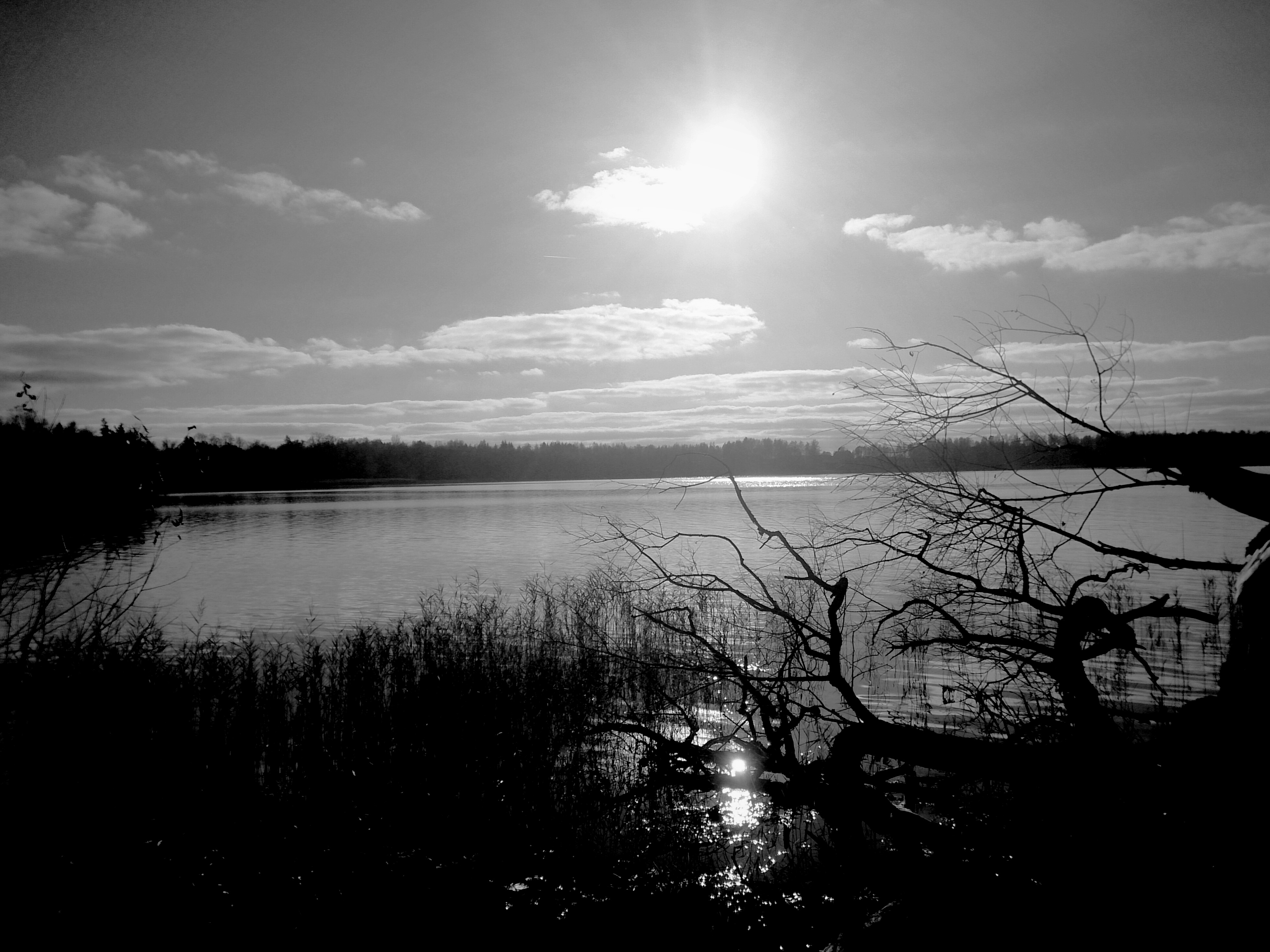 a landscape water meets sun